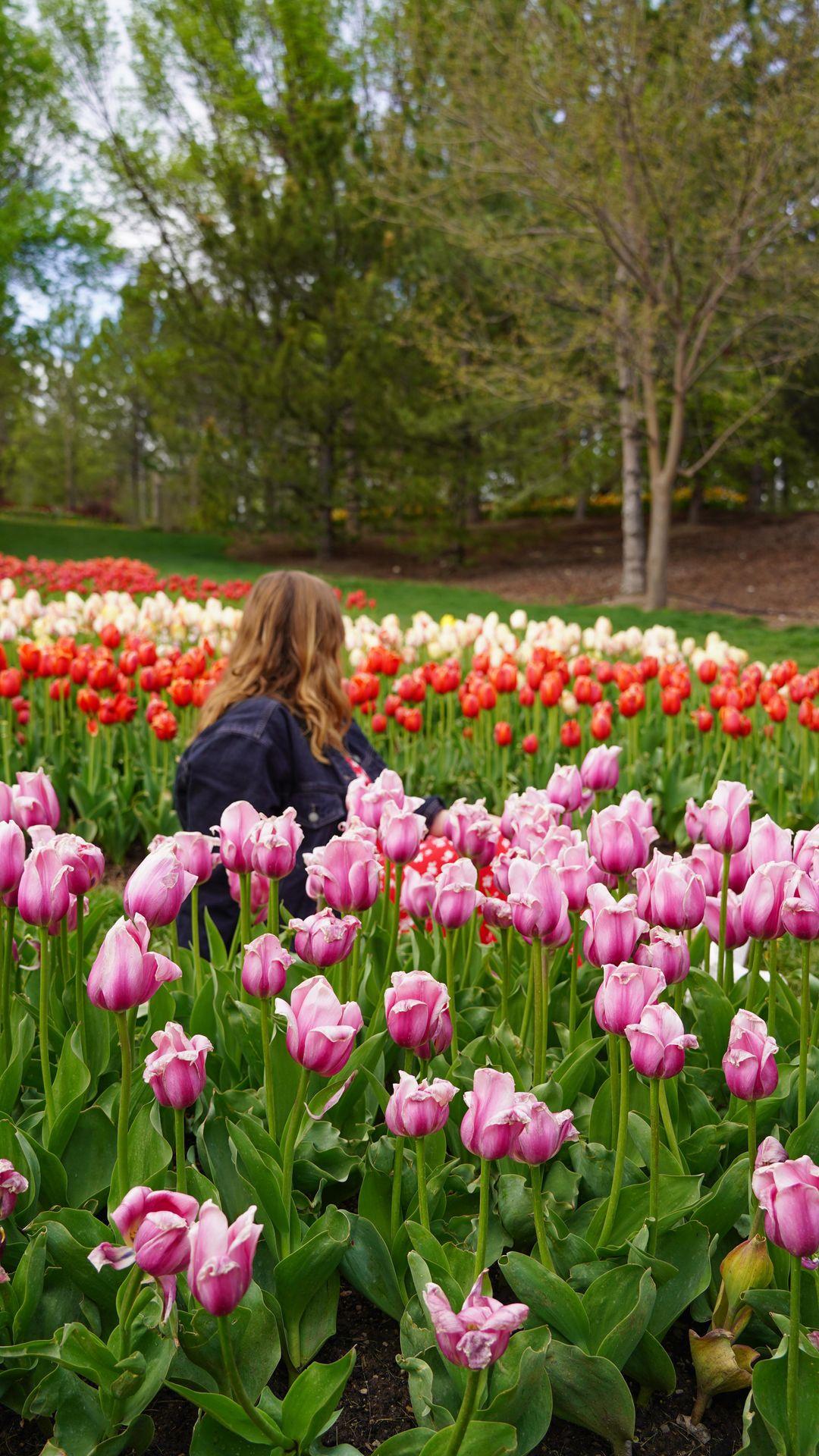 How many different colors of flowers did you see in this video?! 🌷