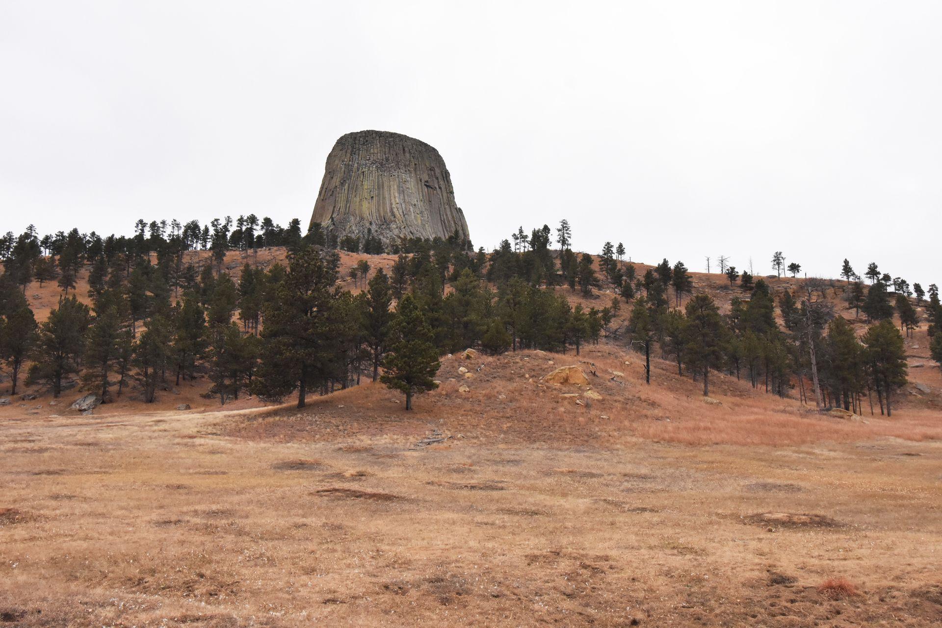 A prairie dog town with Devil's Tower in the background.