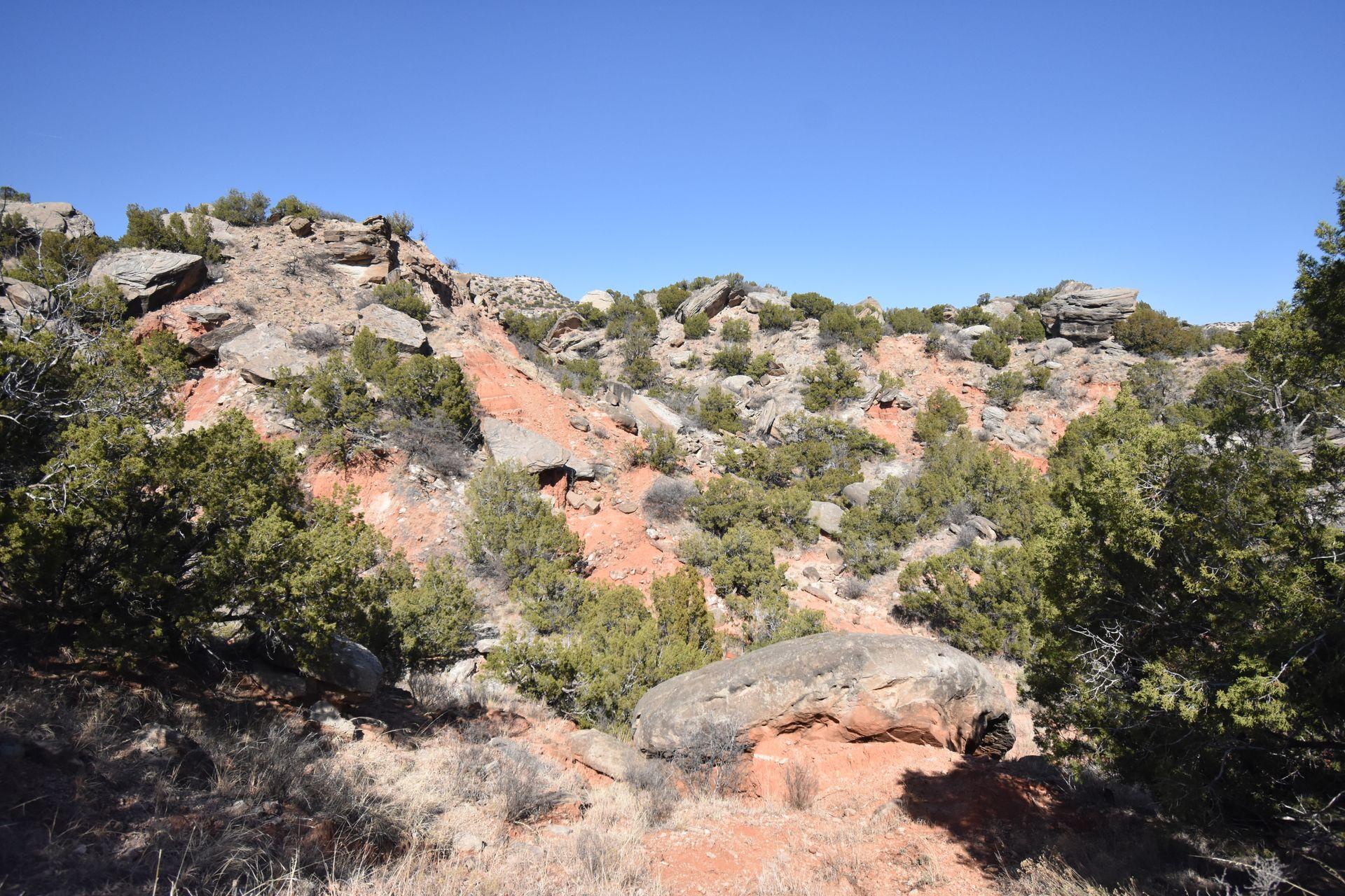 A pile of orange rocks with green bushes scattered around on the Rock Garden Trail.