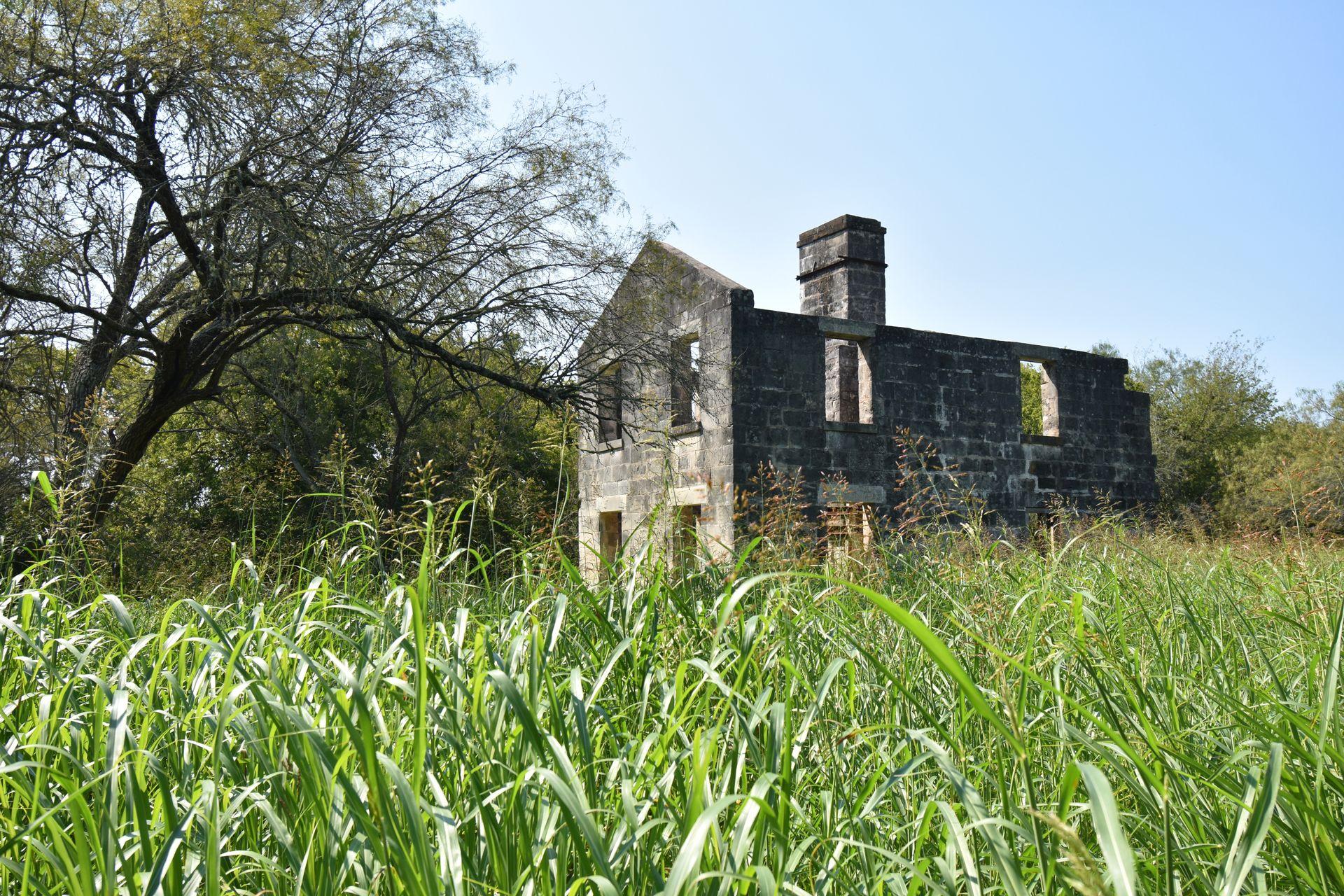 The ruins of a house surrounded by tall green grass