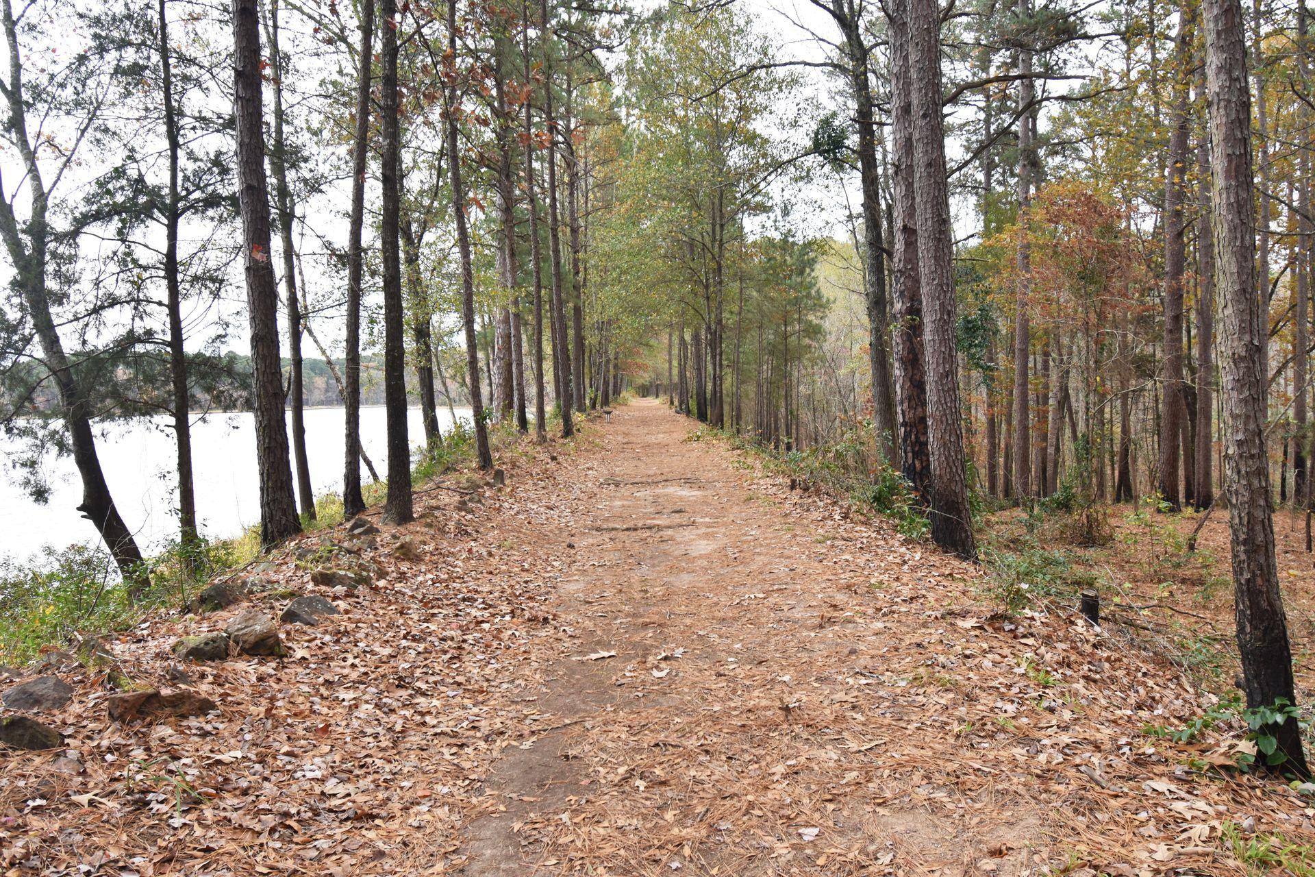 A wide path that has trees on either side and leaves on the ground. There is a lake to the left of the trail.