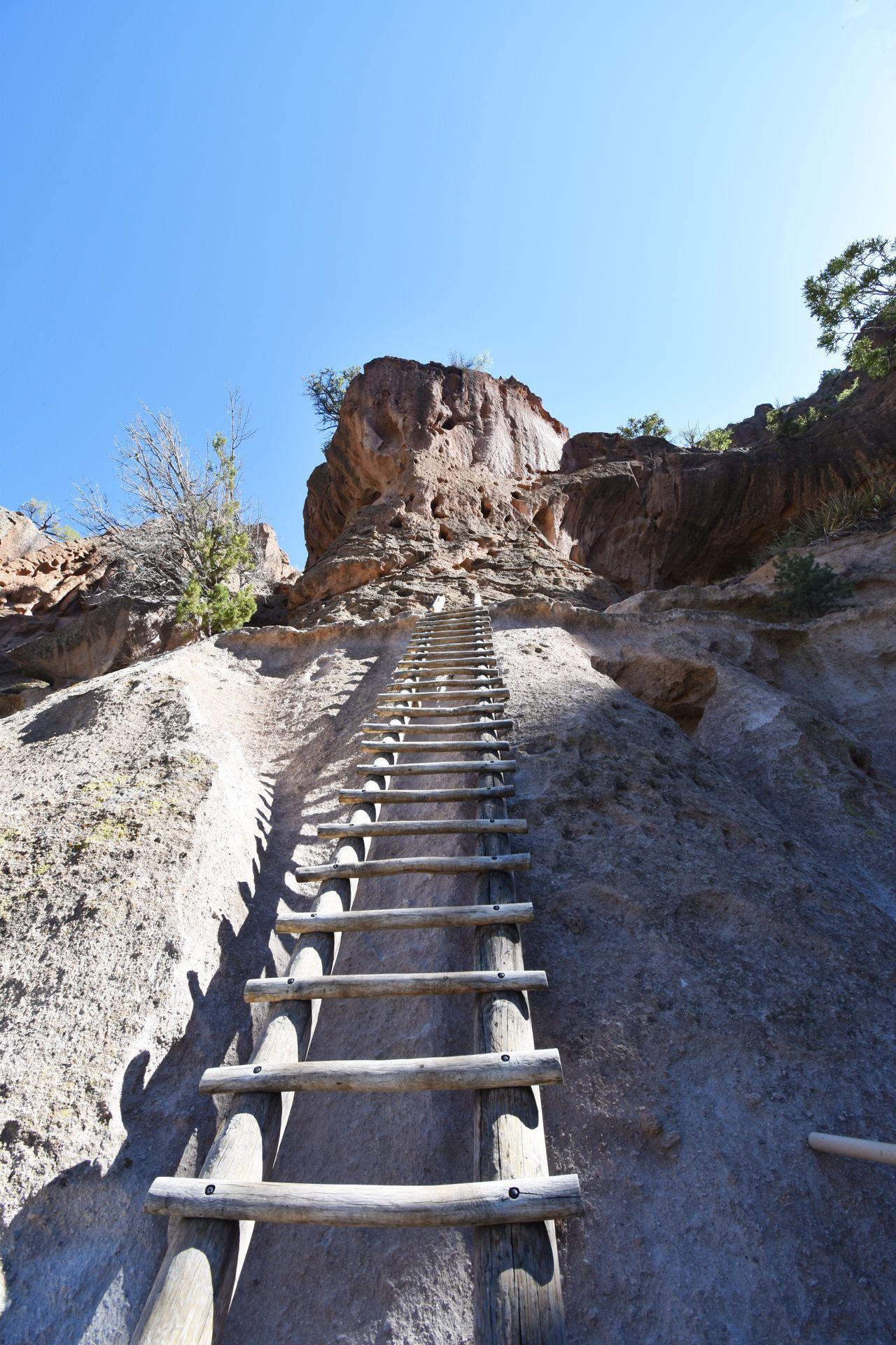 A long ladder leading up to the Alcove House at Bandelier National Monument.