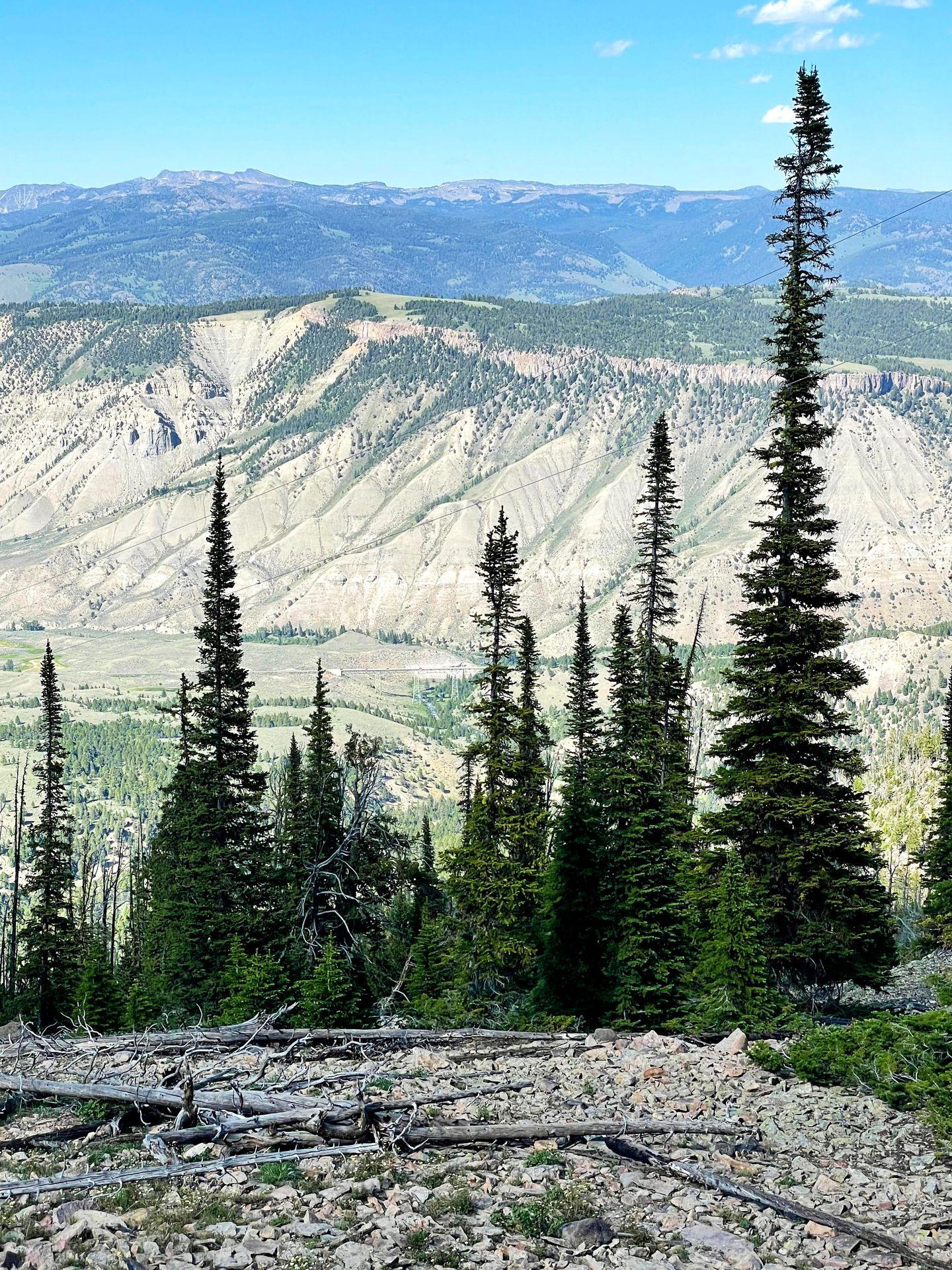 A view of mountains with trees in the foreground from the Bunsen Peak trail.