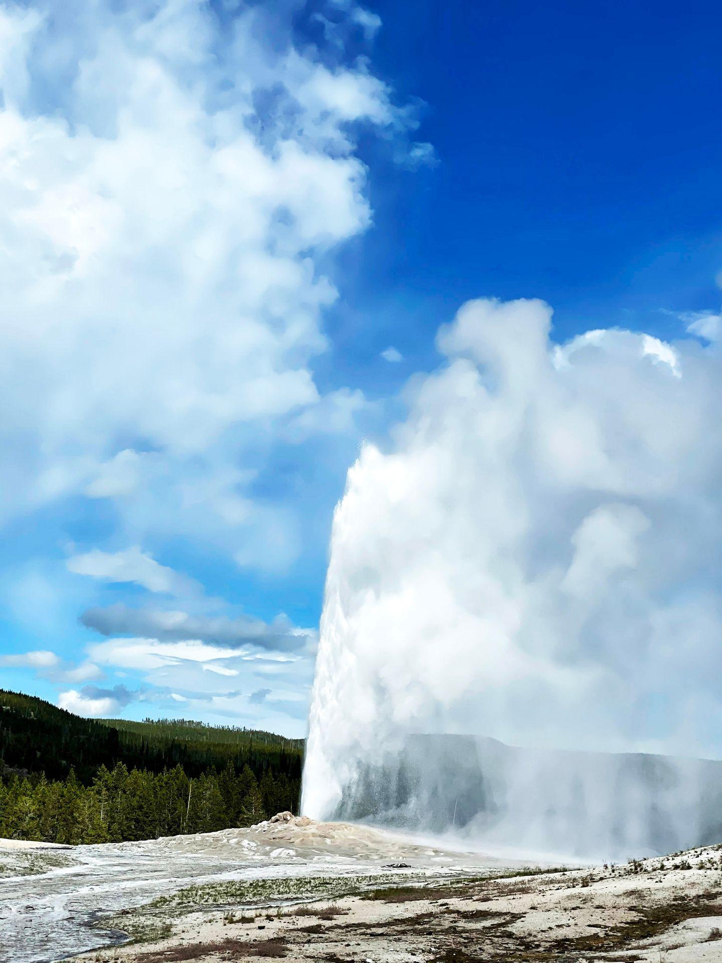 A view of the Old Faithful geyser erupting.