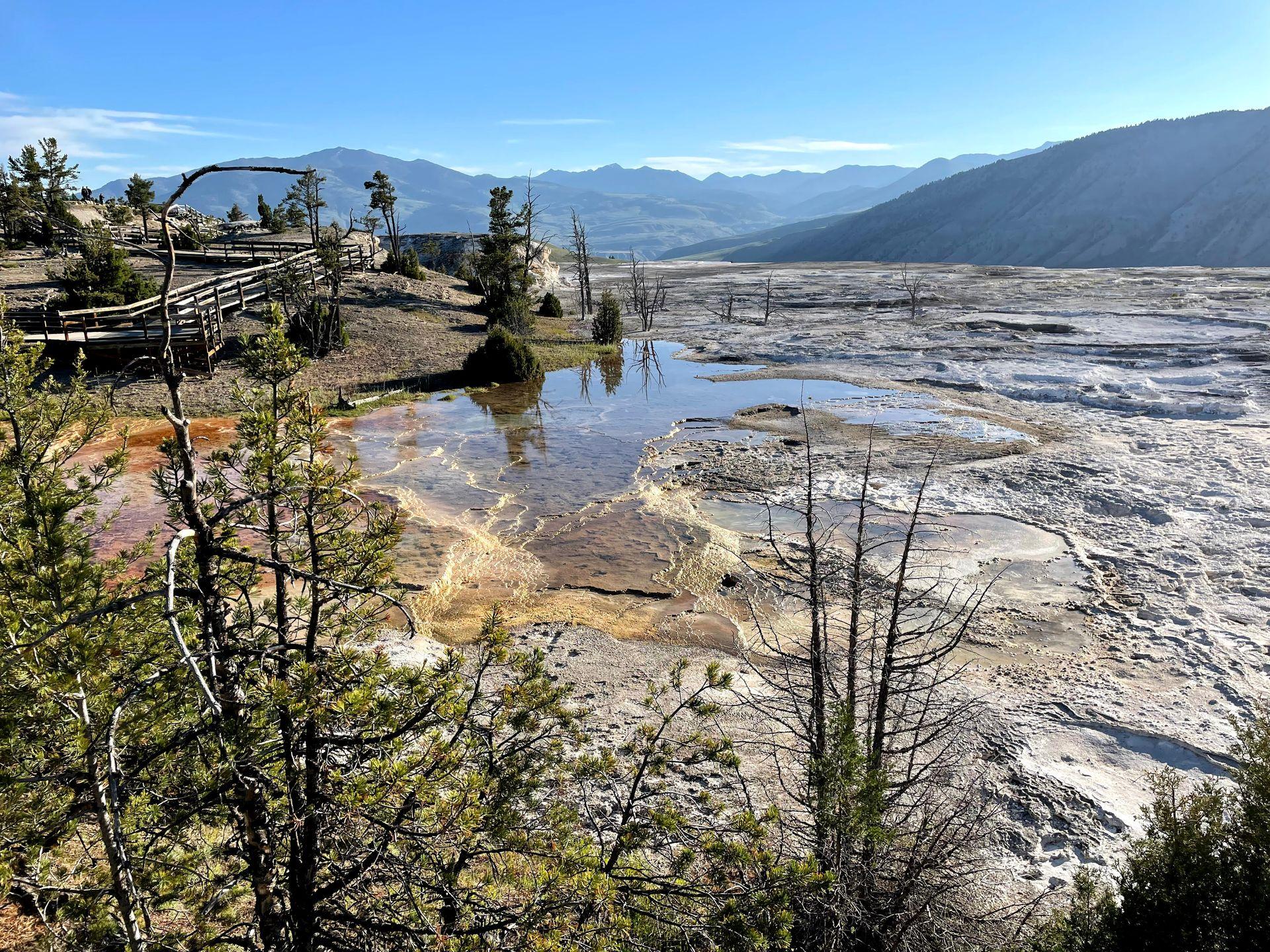 A view of sulphur rocks and blue water from the Upper Terrace of Mammoth Hot Springs.