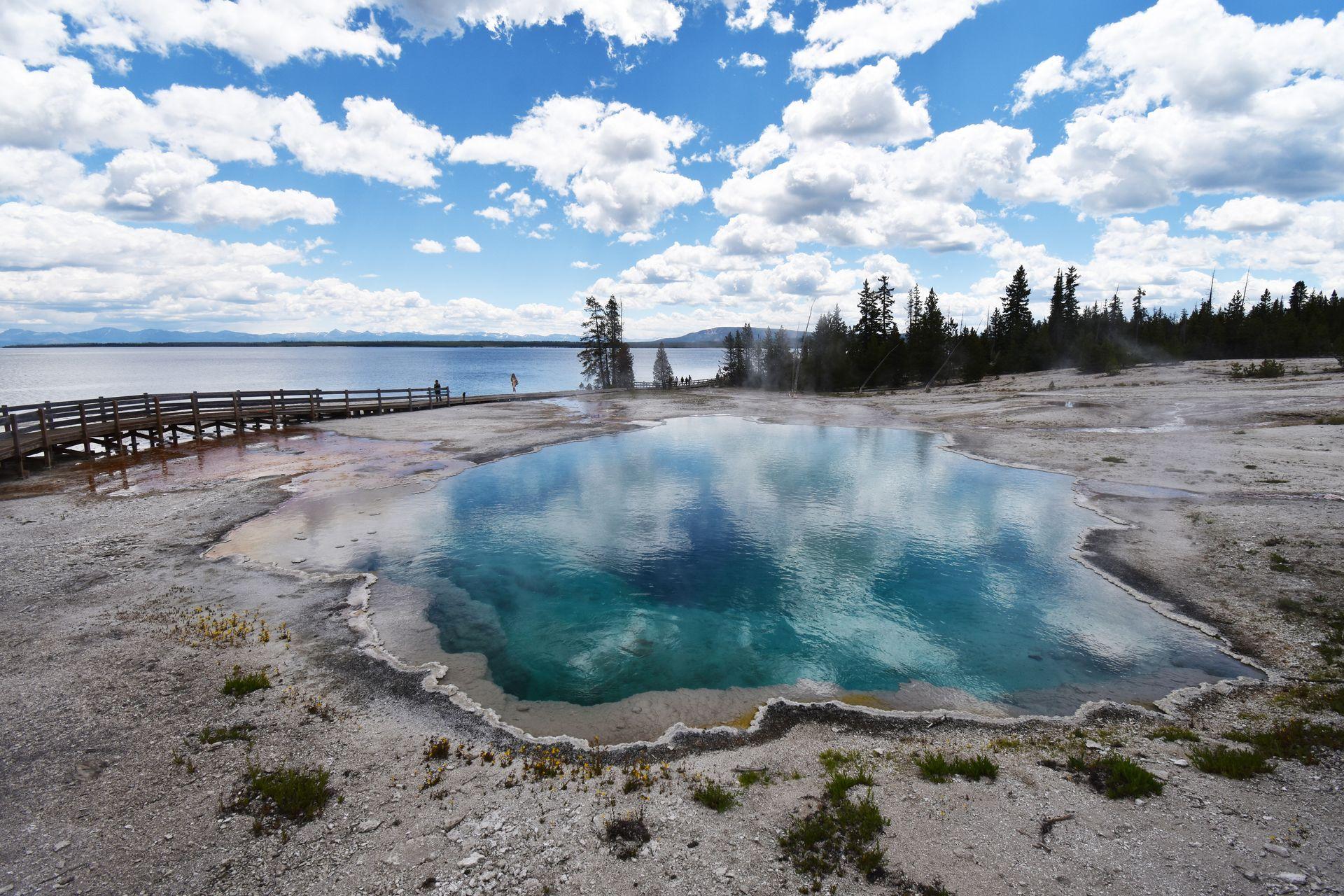 A bright blue hot spring on the West Thumb Geyser Basin trail.