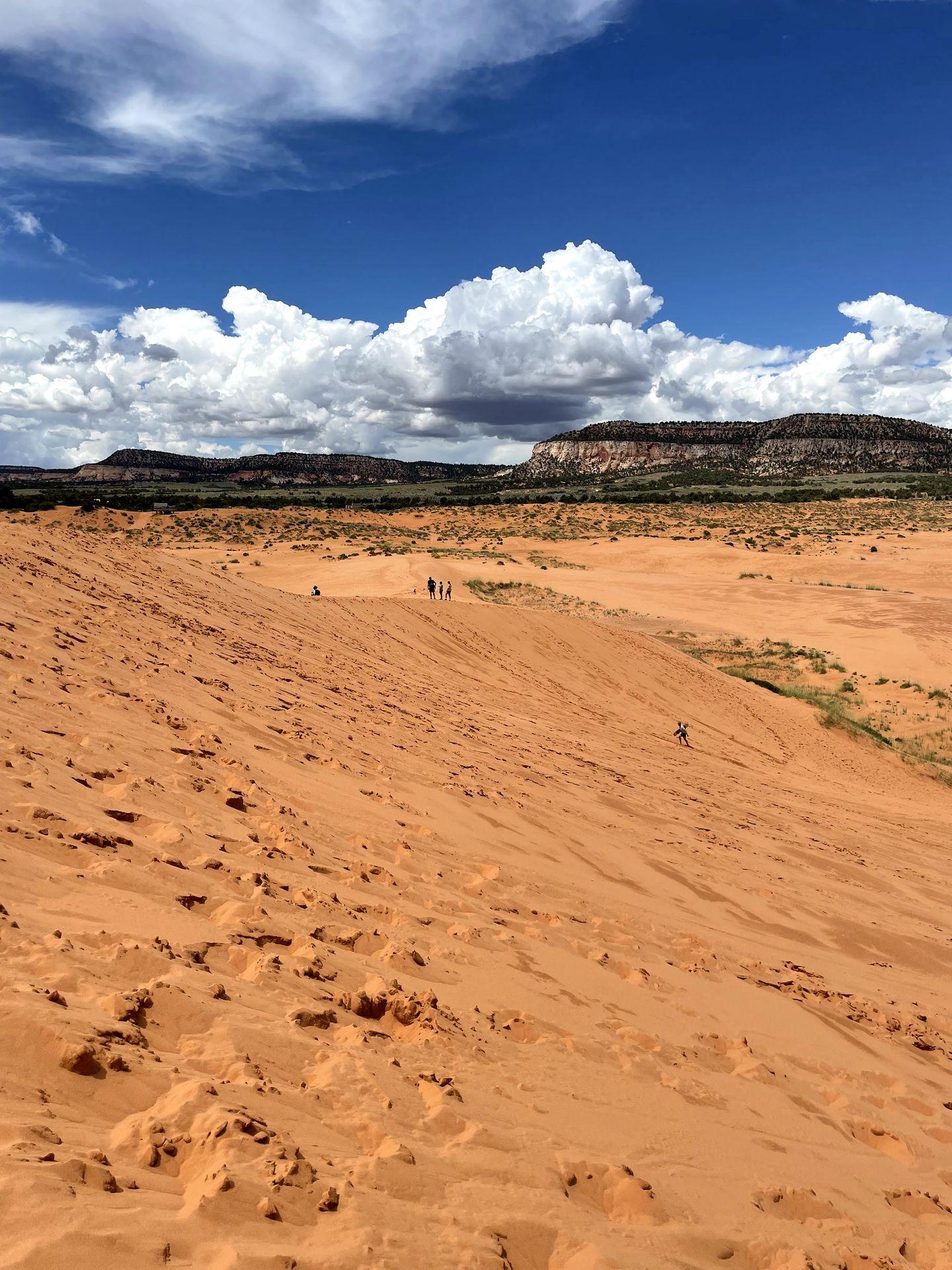 A view looking at the sand at Coral Pink Sand Dunes State Park.
