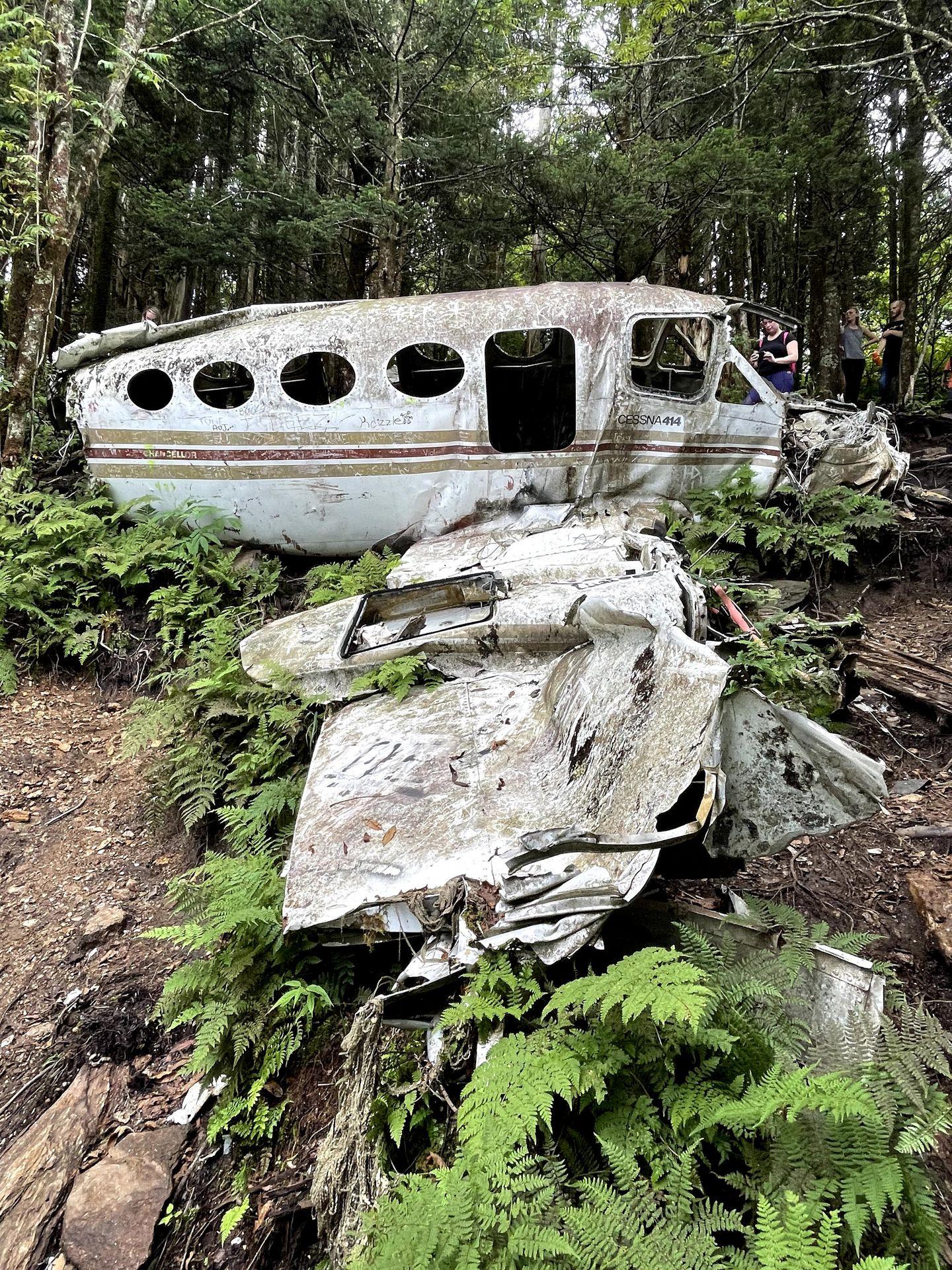 The former plane wreckage near Waterrock Knob. It was removed in 2023.