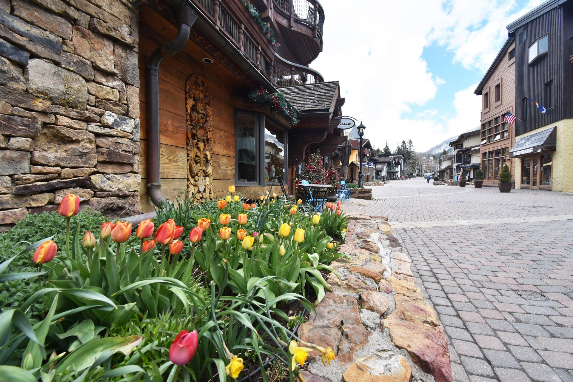 A view of tulips in a planter in the town of Vail.