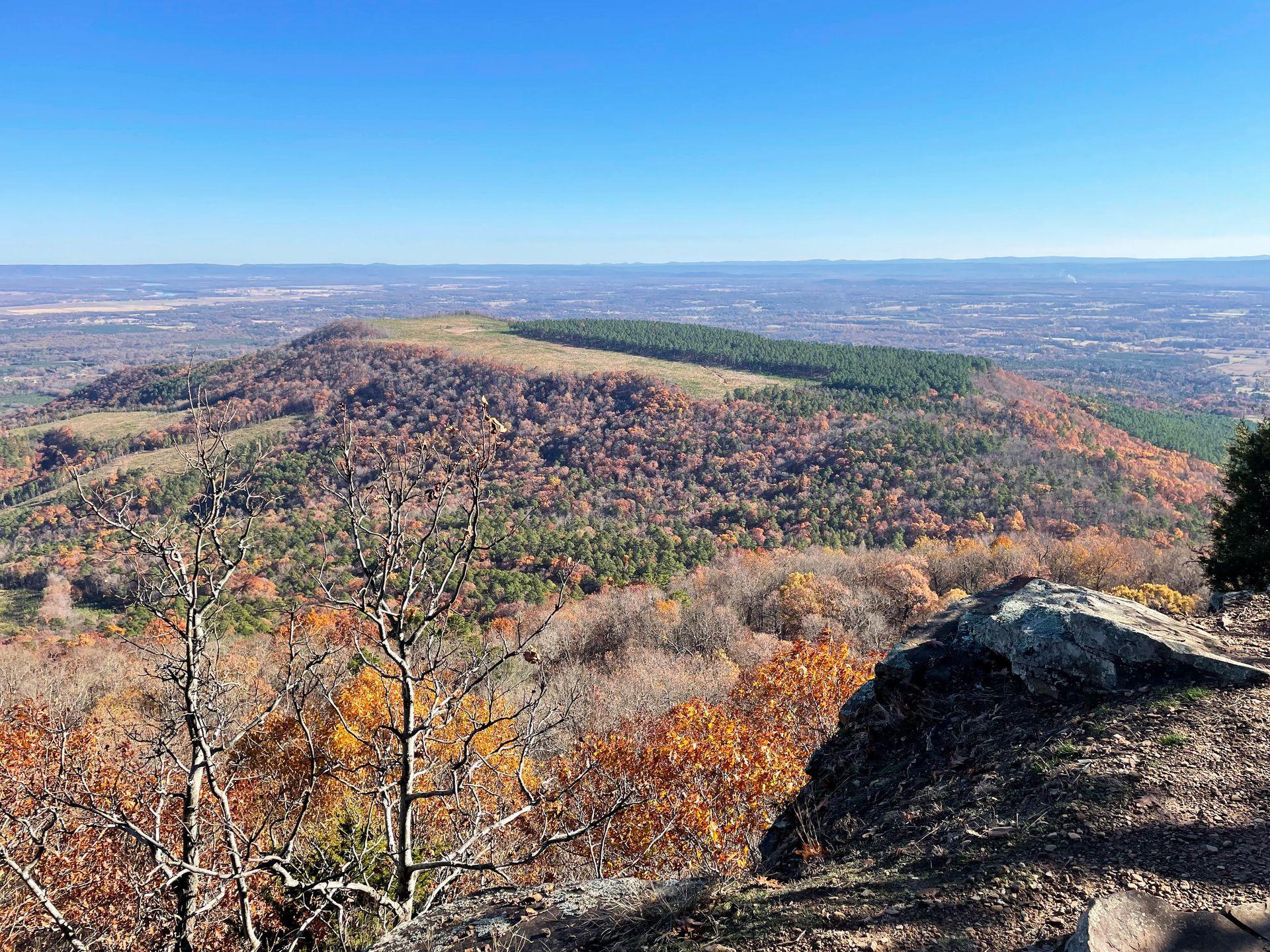 A small mountain covered in trees that are orange and green. This is a view from the Mount Nebo Rim trail.