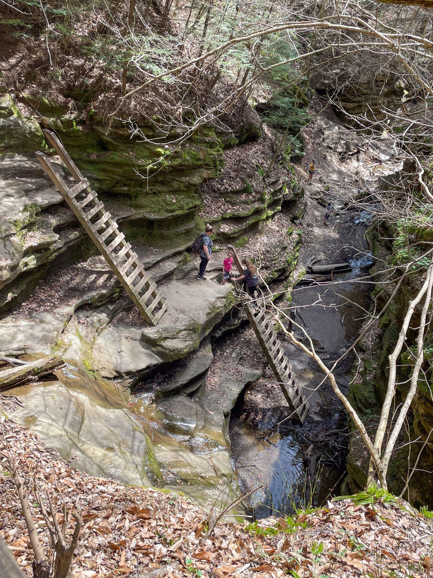 Two large, wooden ladders leading up or down a canyon inside of Turkey Run State Park.