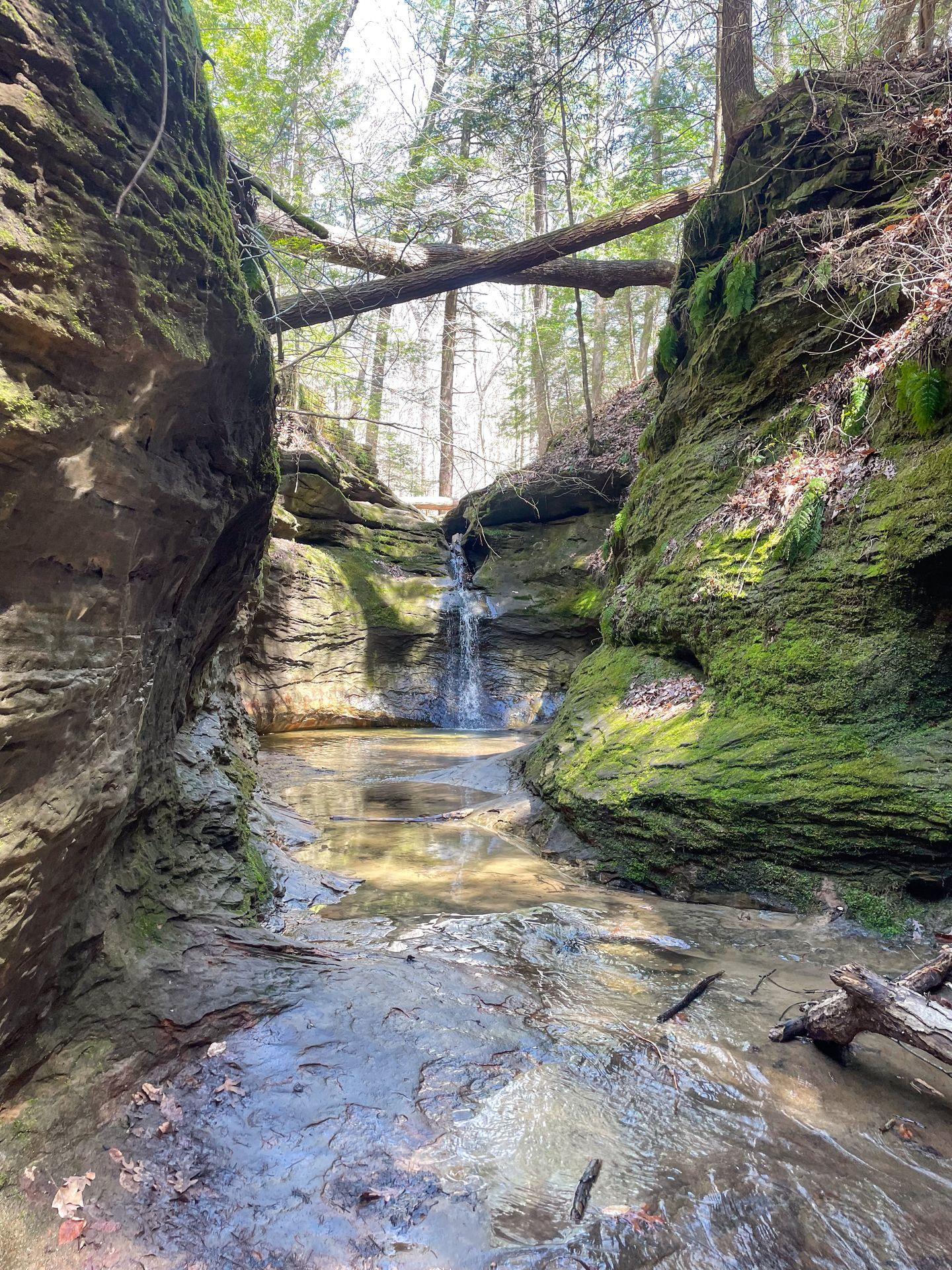 A rocky cove with green moss and a waterfall inside of Turkey Run State Park.