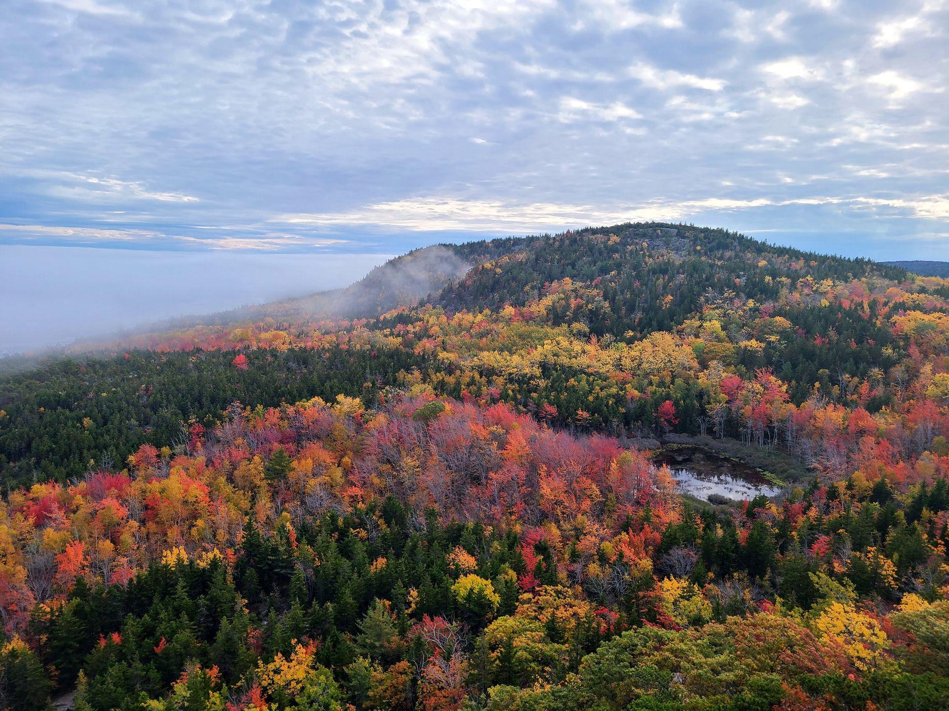 A hill with fall foliage seen from the Beehive in Acadia National Park