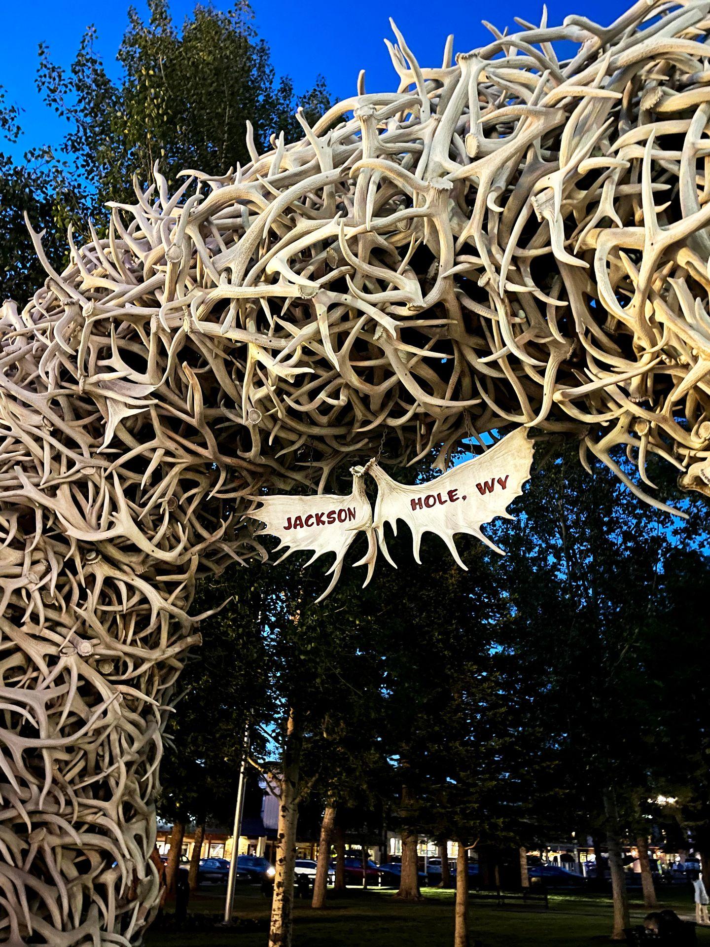 An archway made out of antlers at Jackson Square.