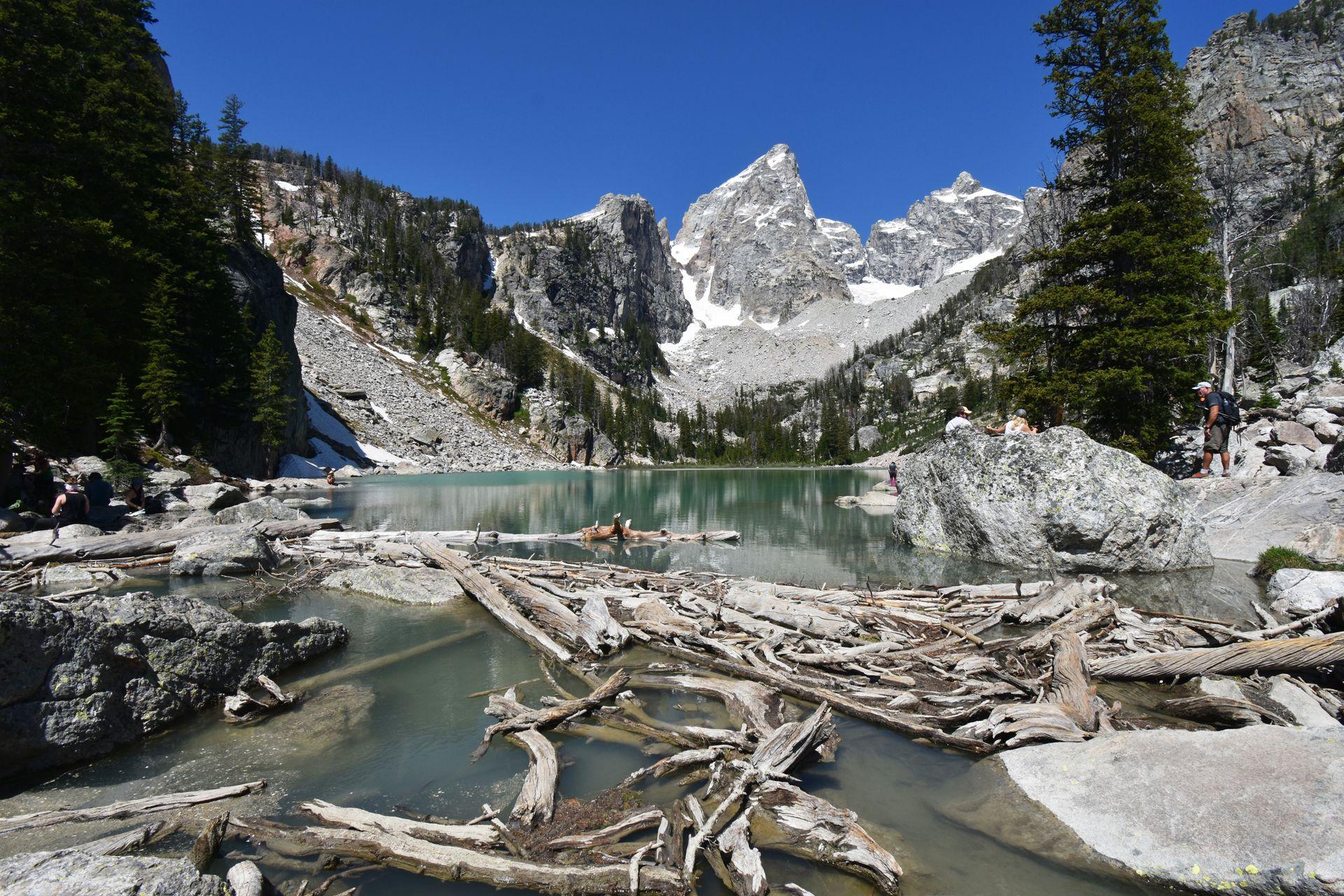 A lake with aqua green water and a jagged mountain peak in the background. There are several logs in the water.