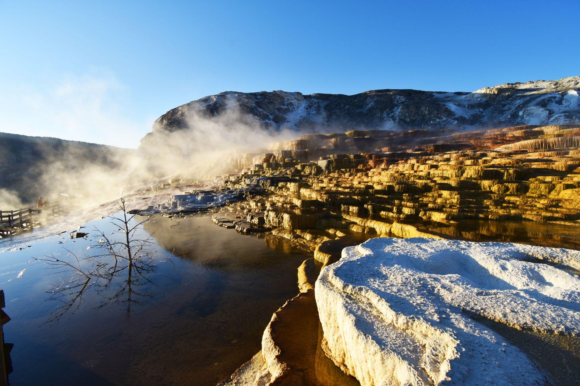 Steam rising up from the Mammoth Hot Springs area at sunrise.