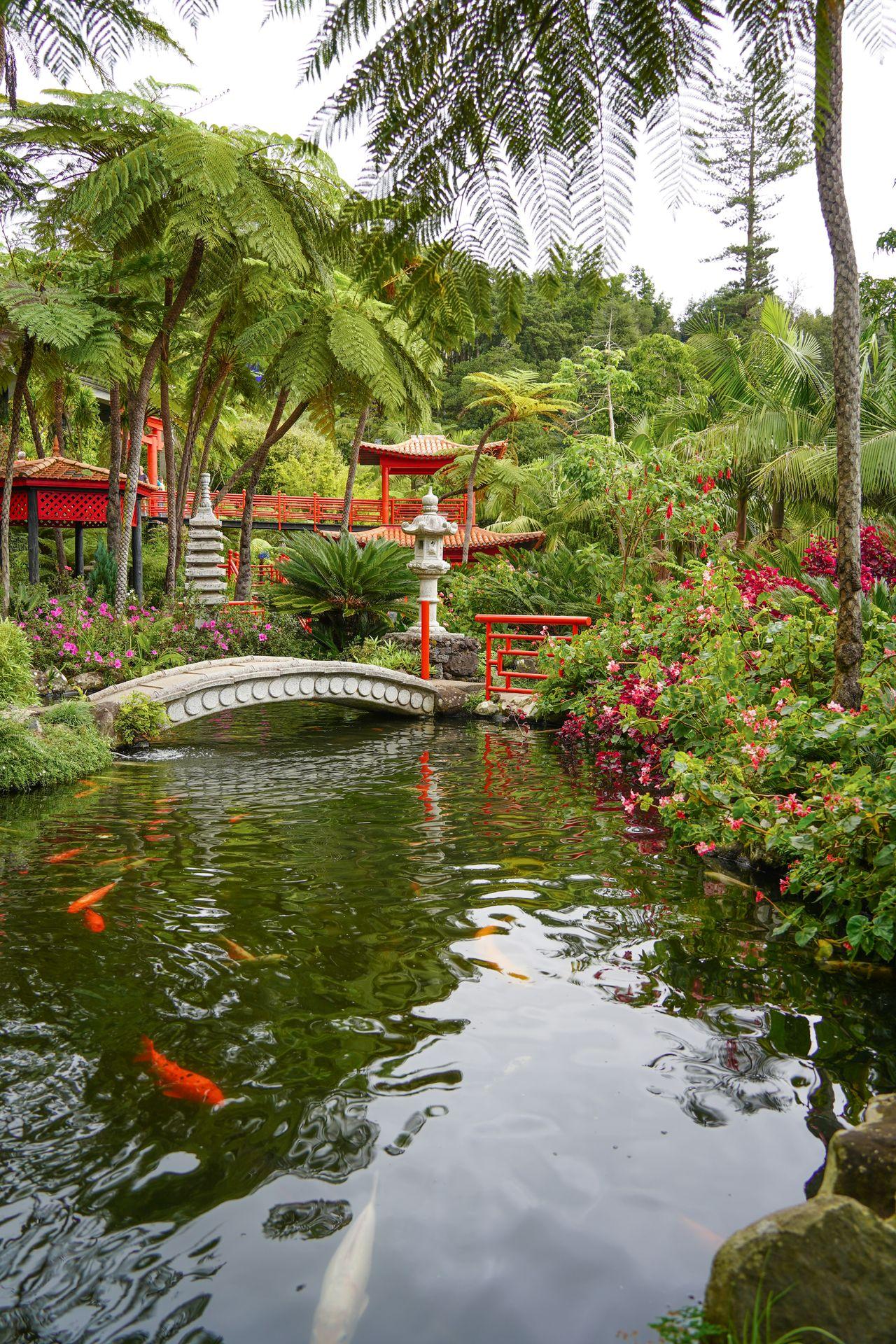 A pond with koi fish and Japanese architecture in the Monte Palace Gardens