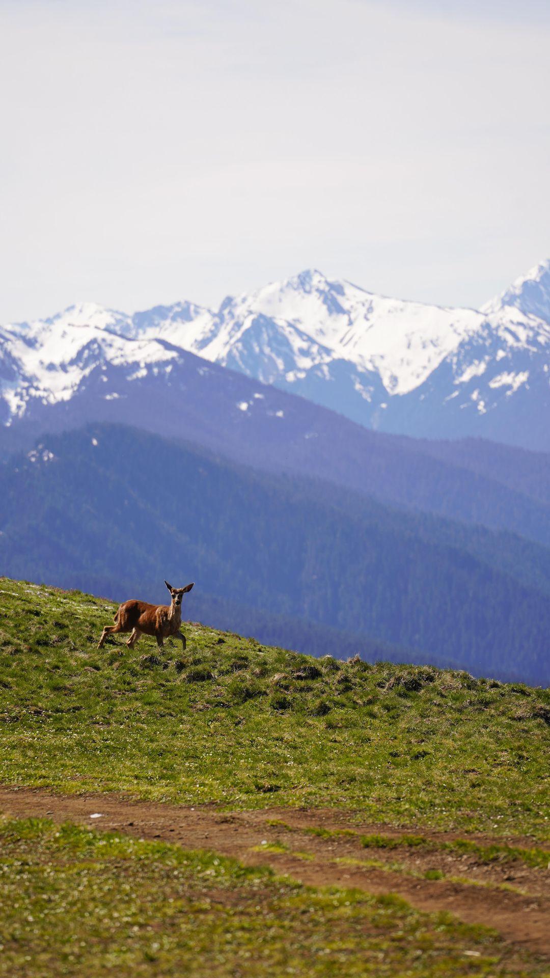 “There is nothing so American as our national parks.” - Franklin D. Roosevelt