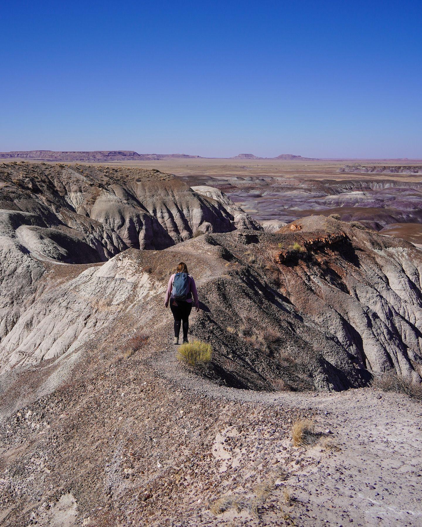 ✨Scenes from Petrified Forest National Park ✨