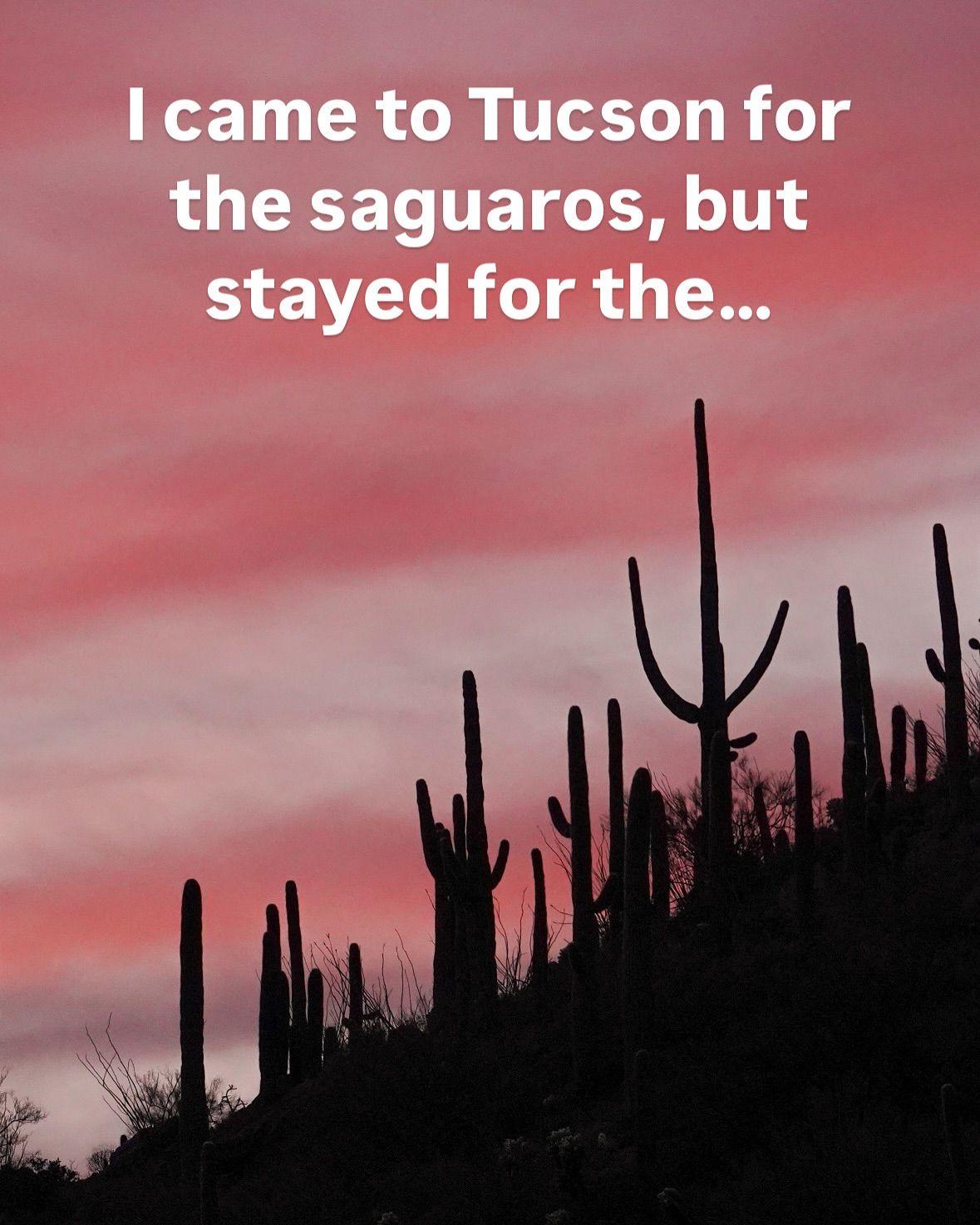 I just spent a month in Tucson and fell in love! The city has tons of hiking trails, amazing food and a variety of museums and other activities. Save this guide if you’re considering a trip there!