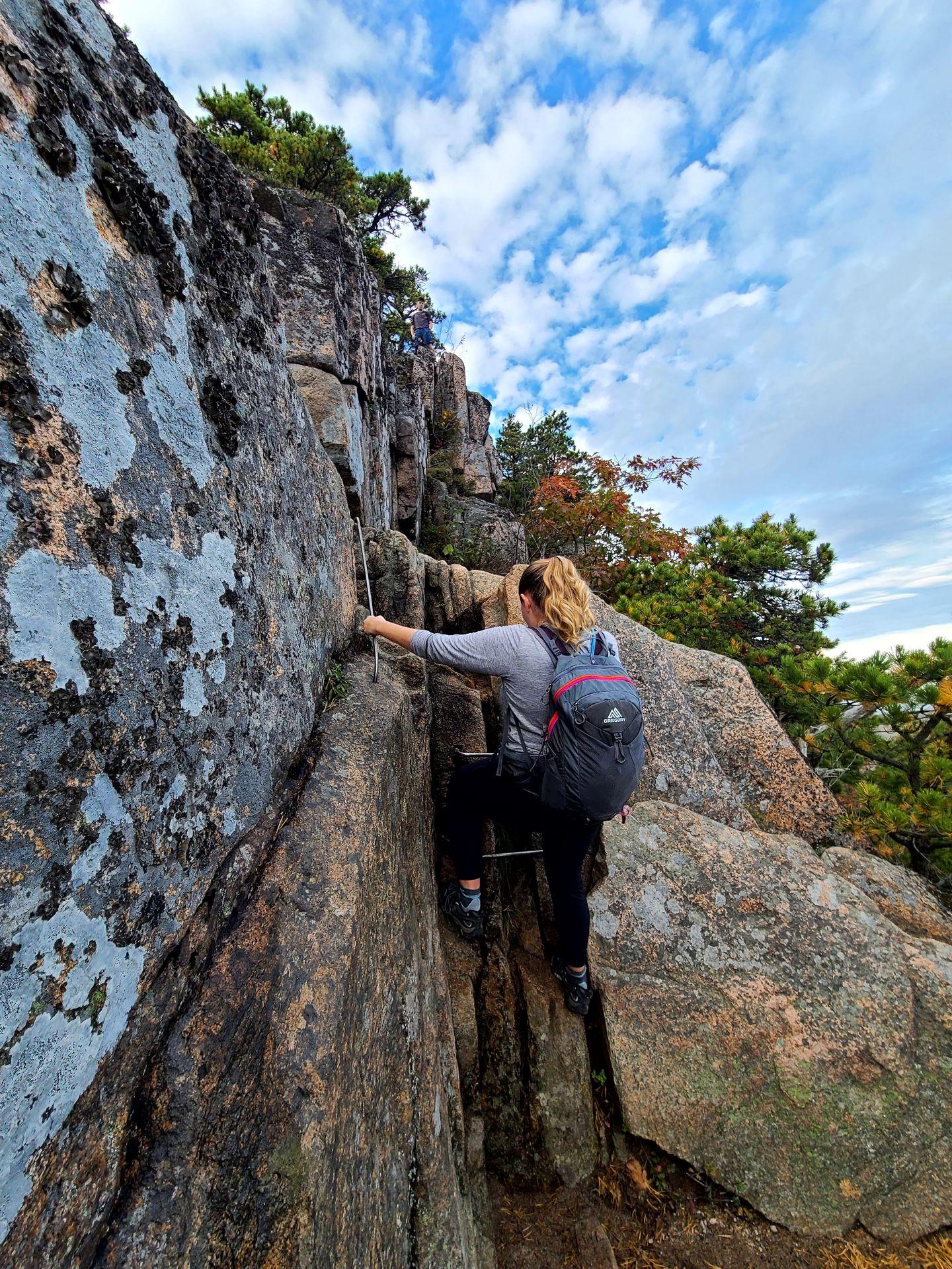 Lydia climbing up ladders on the Beehive Trail.