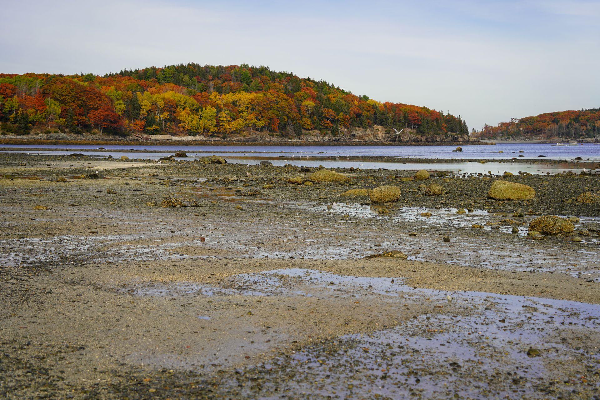 The path to Bar Island at low tide.