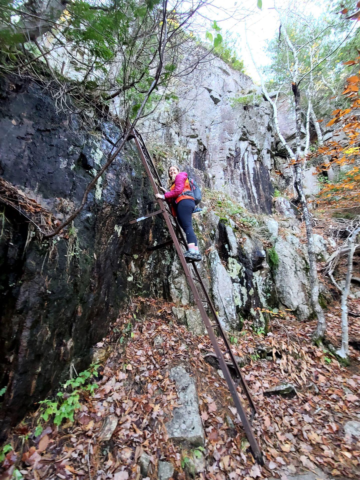 Lydia climbing a tall, metal ladder on the Beech Cliff Trail.