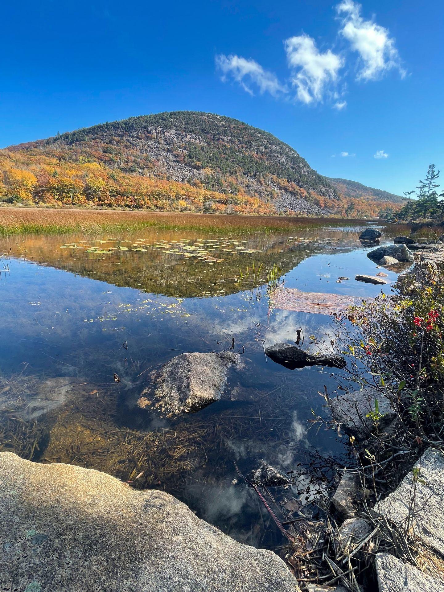 A round-shaped mountain with yellow trees. There is a reflection of the mountain on the water.