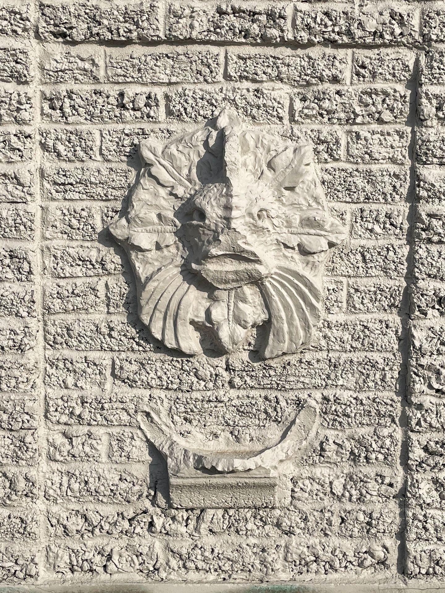 The head of a fish coming out of a wall made of seashells in Tyrell Park.
