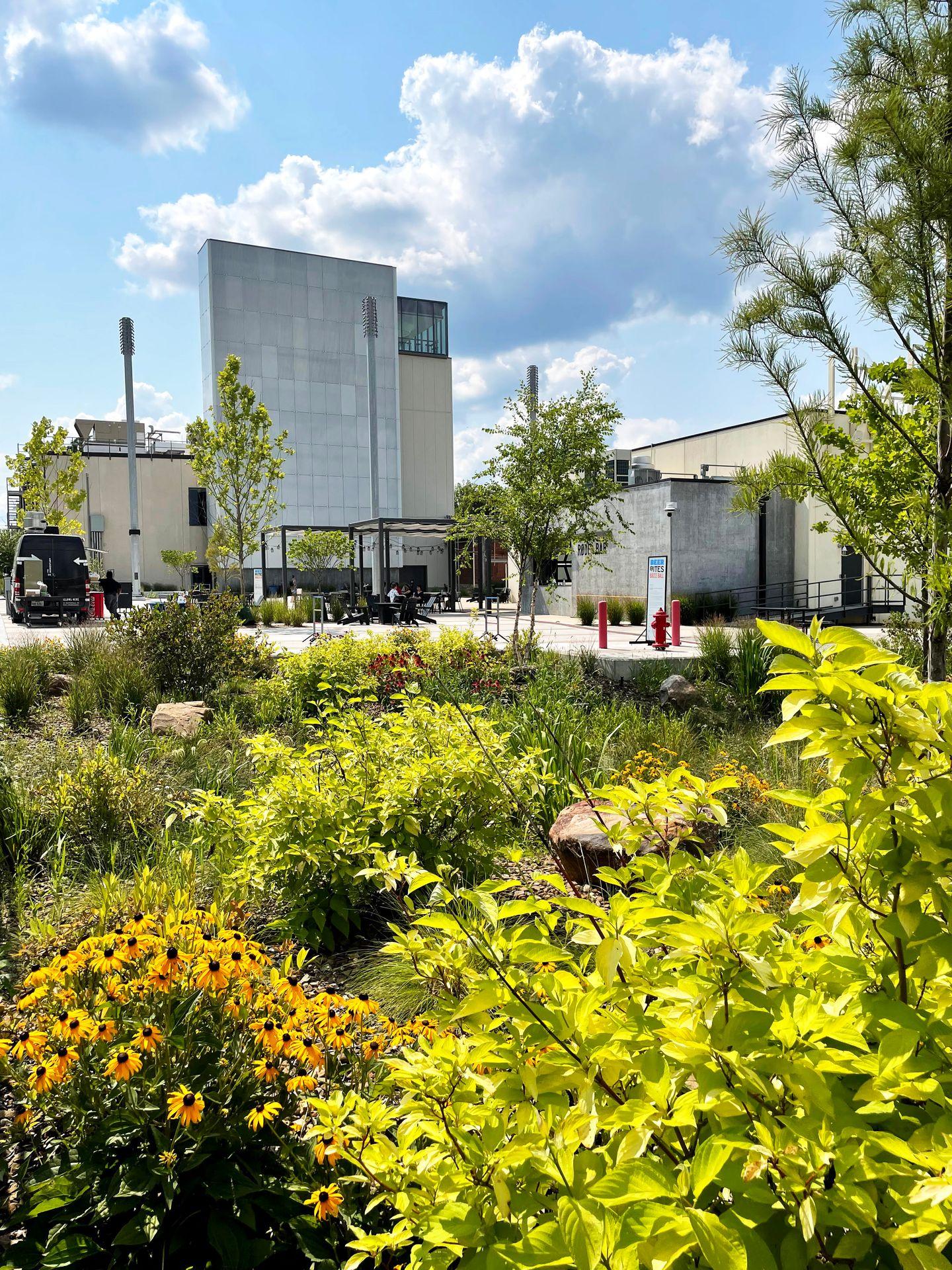 An area of greenery and flowers with The Momentary in the background