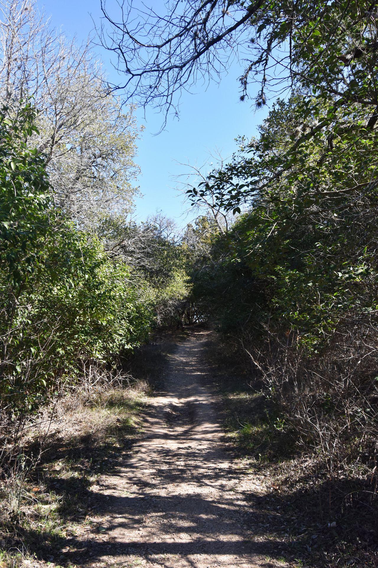 The Caswell trail in Blanco State Park.