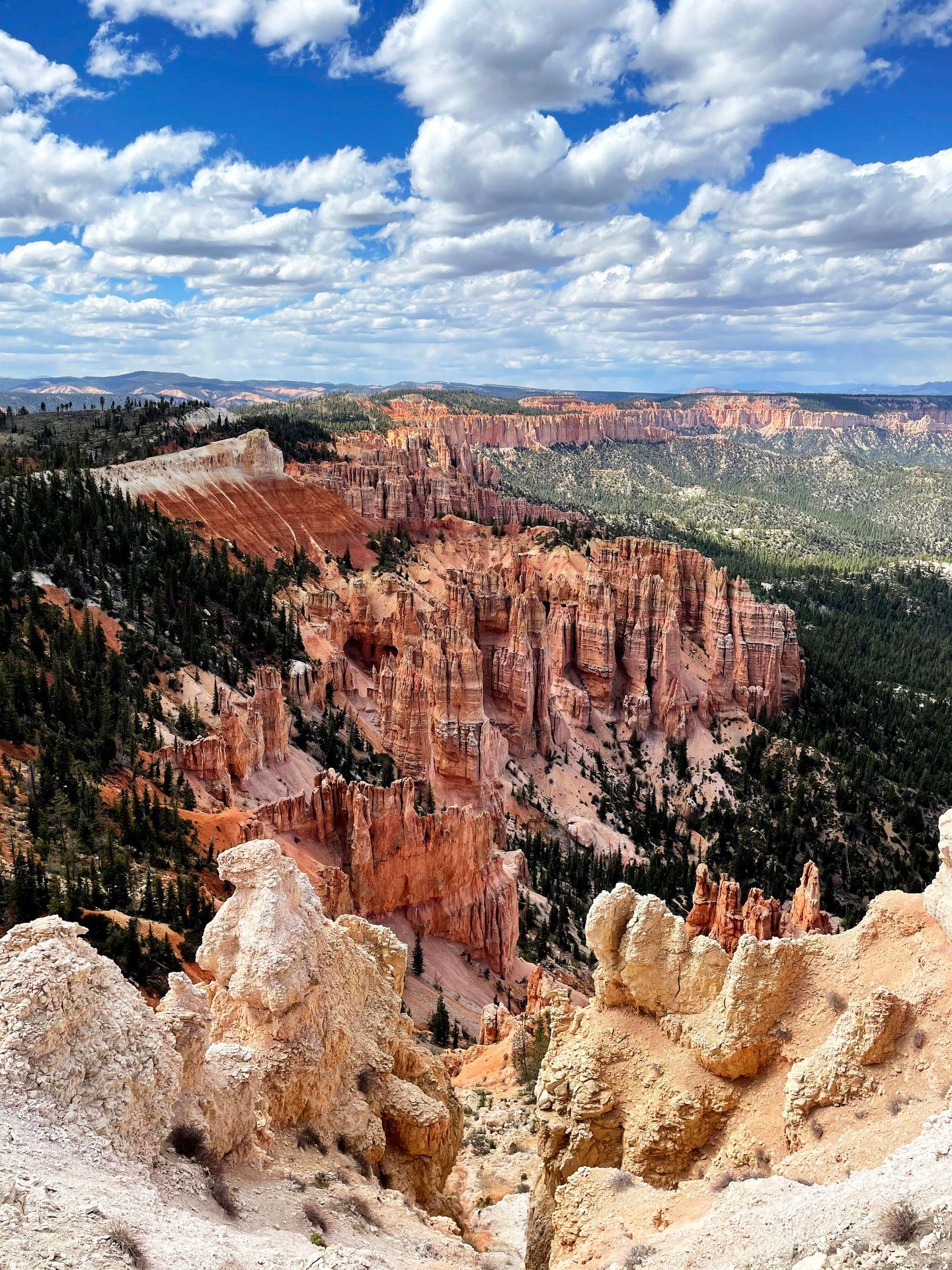 A view of hoodoos from the Rainbow Point overlook. There are white-orange rocks close to the viewer and the hoodoos in the distance look more pink. There are many green trees next to the hoodoos.