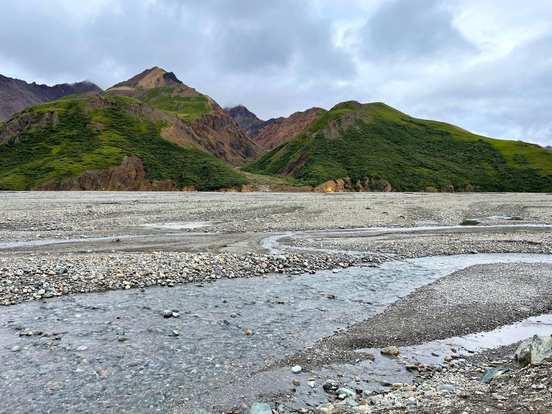 A expansive river wash area with green mountains across the wash.