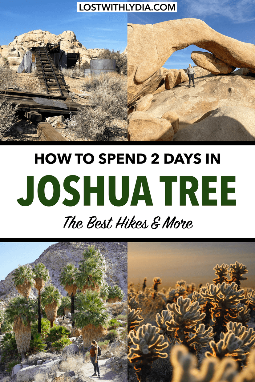 Learn how to spend two days in Joshua Tree National Park with this guide! Discover the best hikes in Joshua Tree and plan a perfect weekend in Joshua Tree.