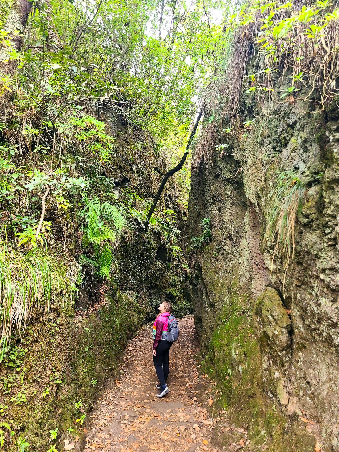 Lydia looking up at canyon walls during a narrow part of the PR8 trail.