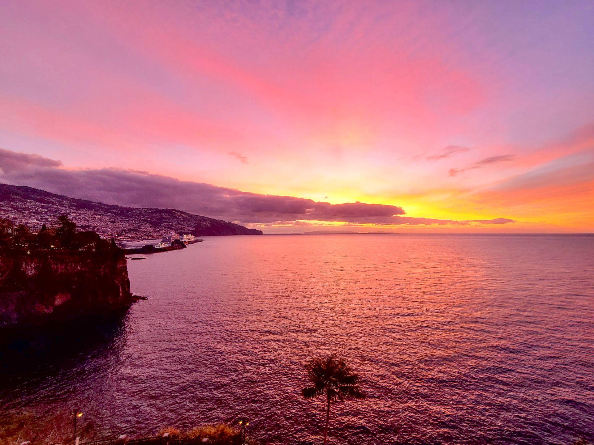 Looking out at the ocean at sunrise. The sky and water is glowing pink.