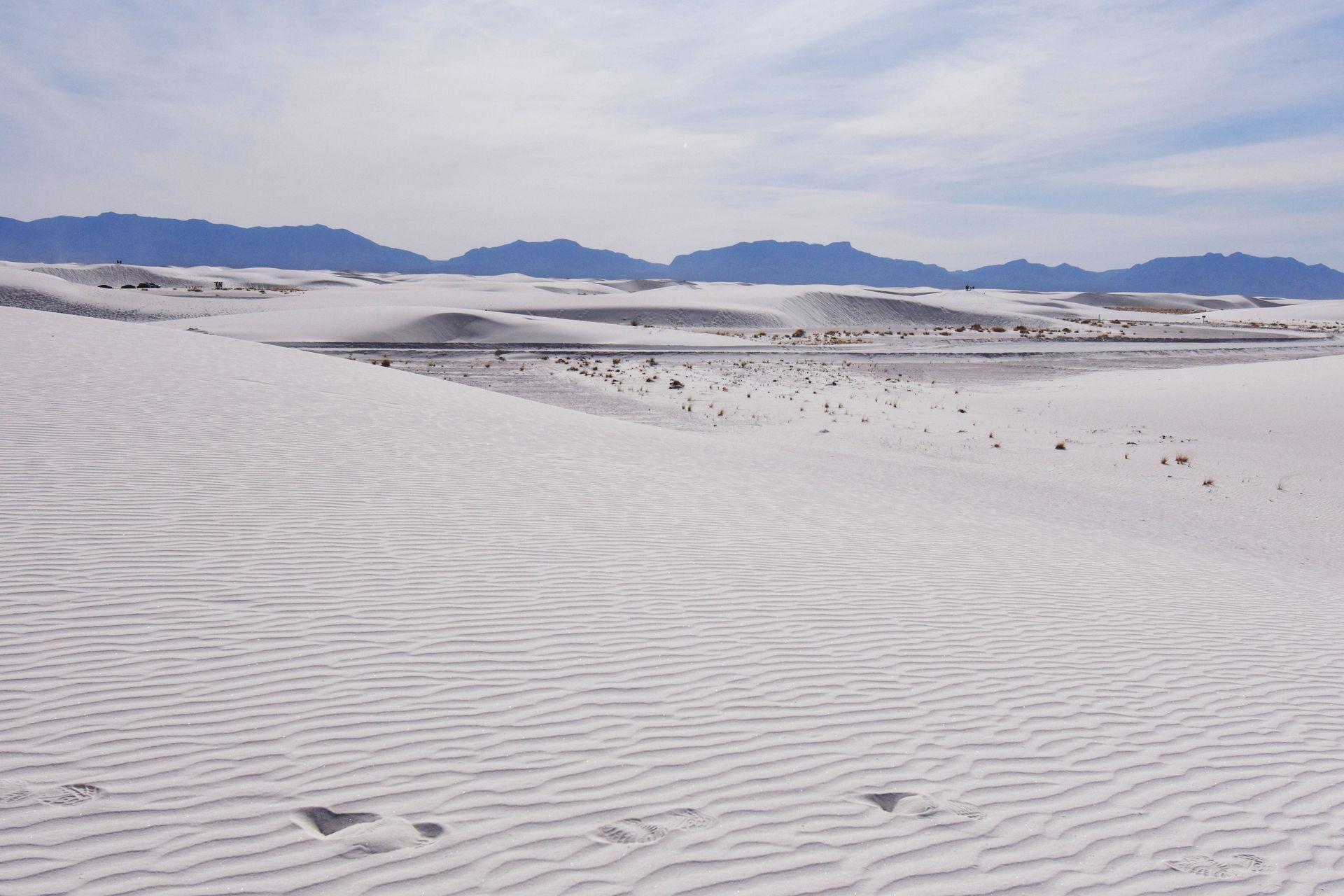 An expansive view of white dunes inside of White Sands.