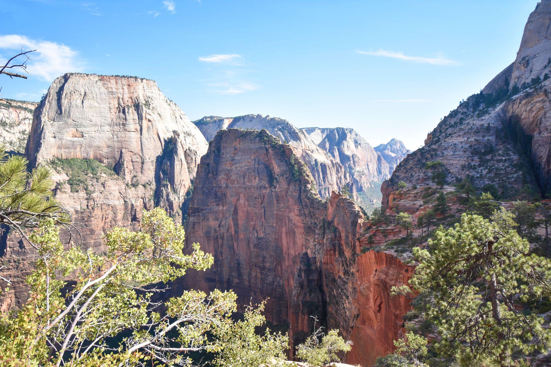 Views of towering red rock walls in Zion National Park.