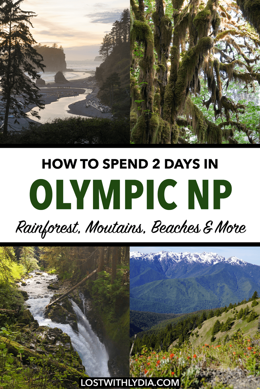 Discover the best things to do in Olympic National Park in this weekend itinerary! Visit the rainforest, coast, mountains and more.