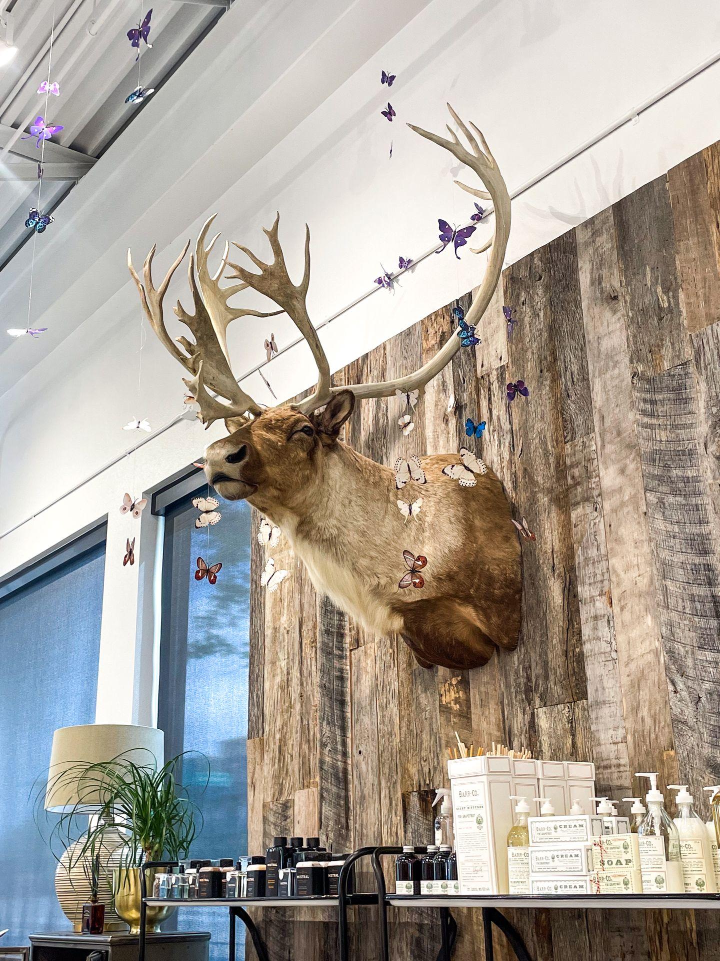 A moose head with butterflies on a garland.