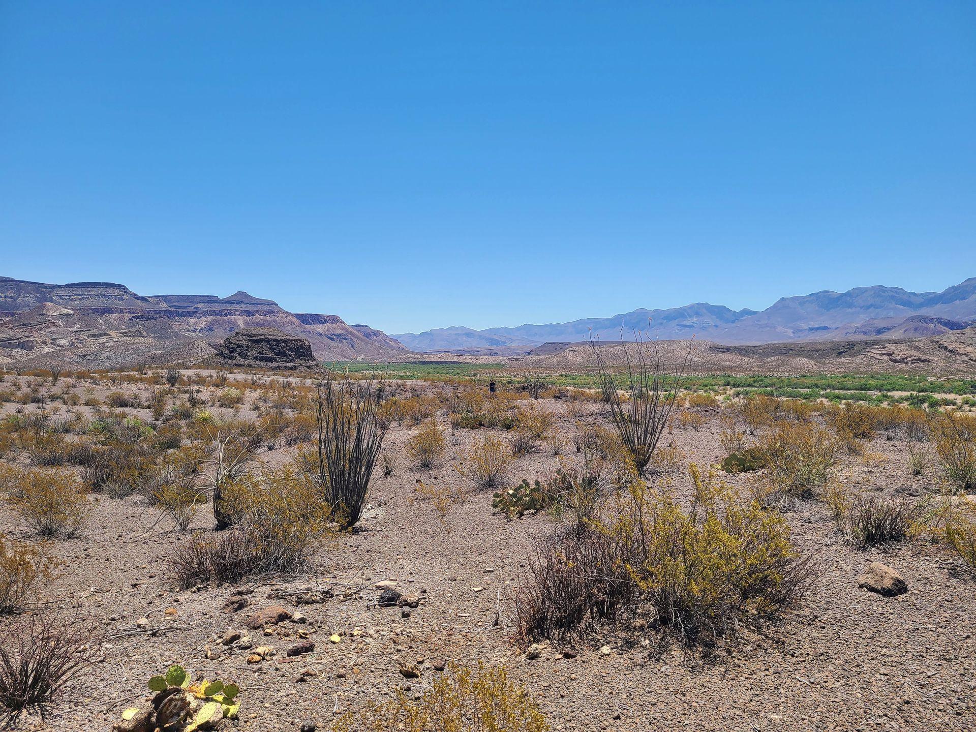 Looking at a desert landscape with greenery and mountains in the distance.