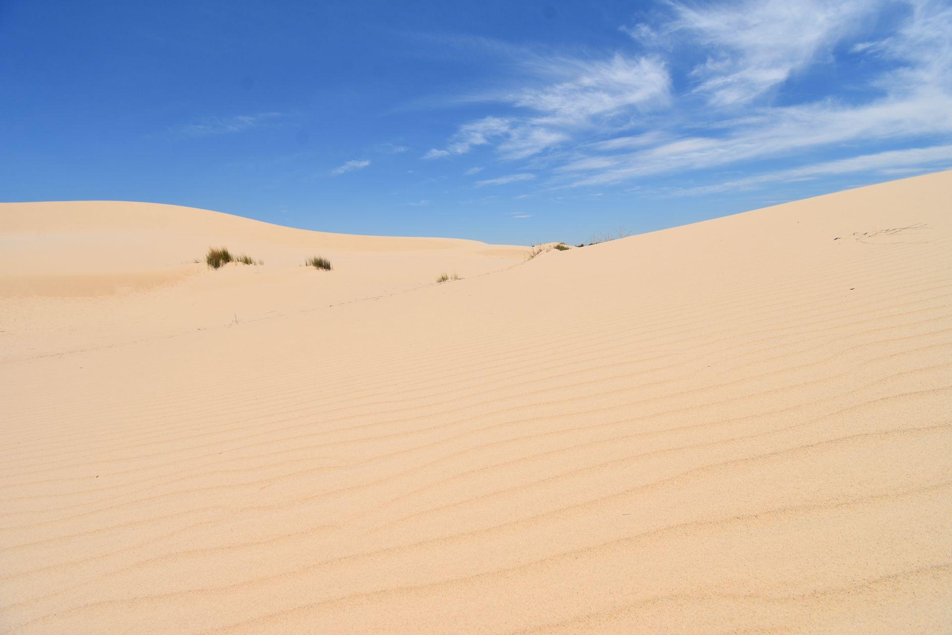 Hills of sand with lines from the wind at Monahans Sandhills State Park.