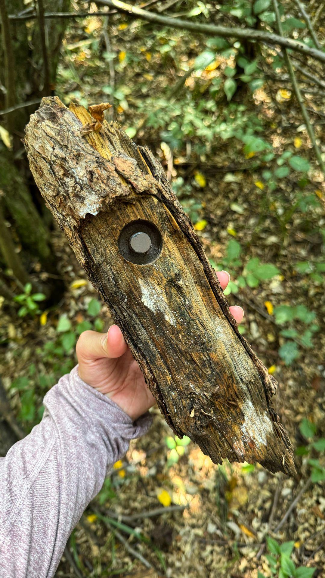A geocache hidden inside of a log