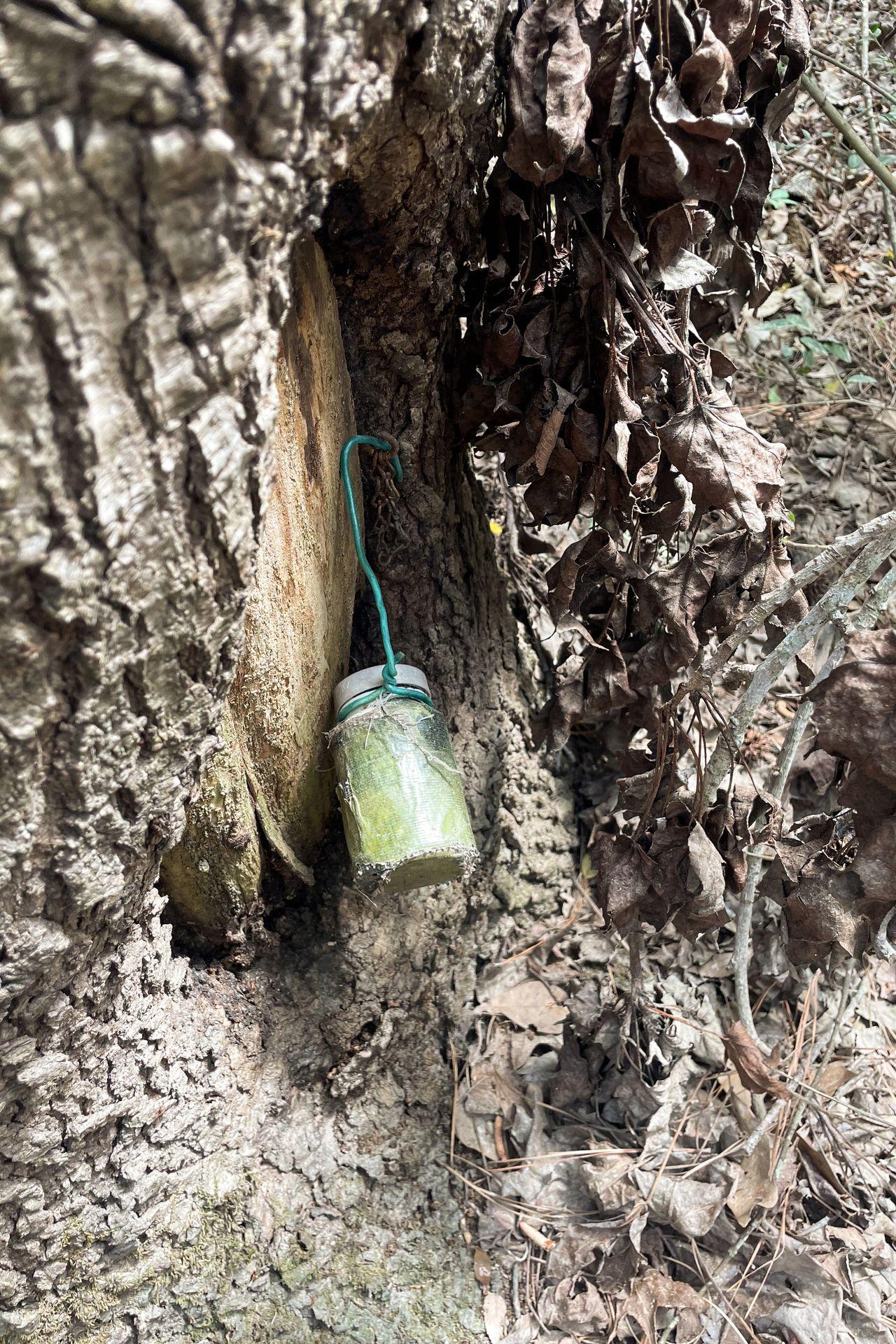 A camouflaged container hanging off of a tree