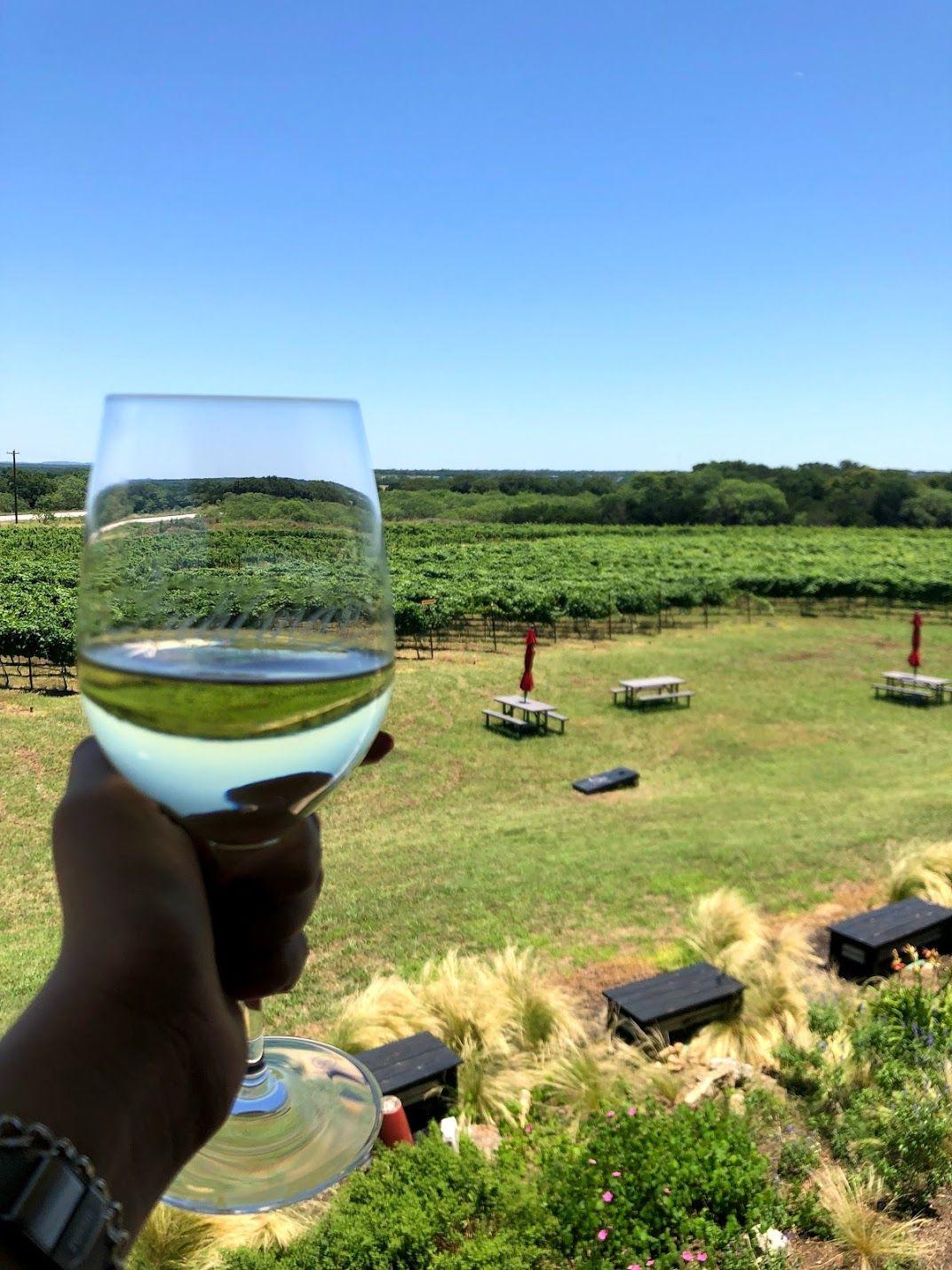 Holding up a glass of white wine with a vineyard view in the background at Kuhlman Cellars.