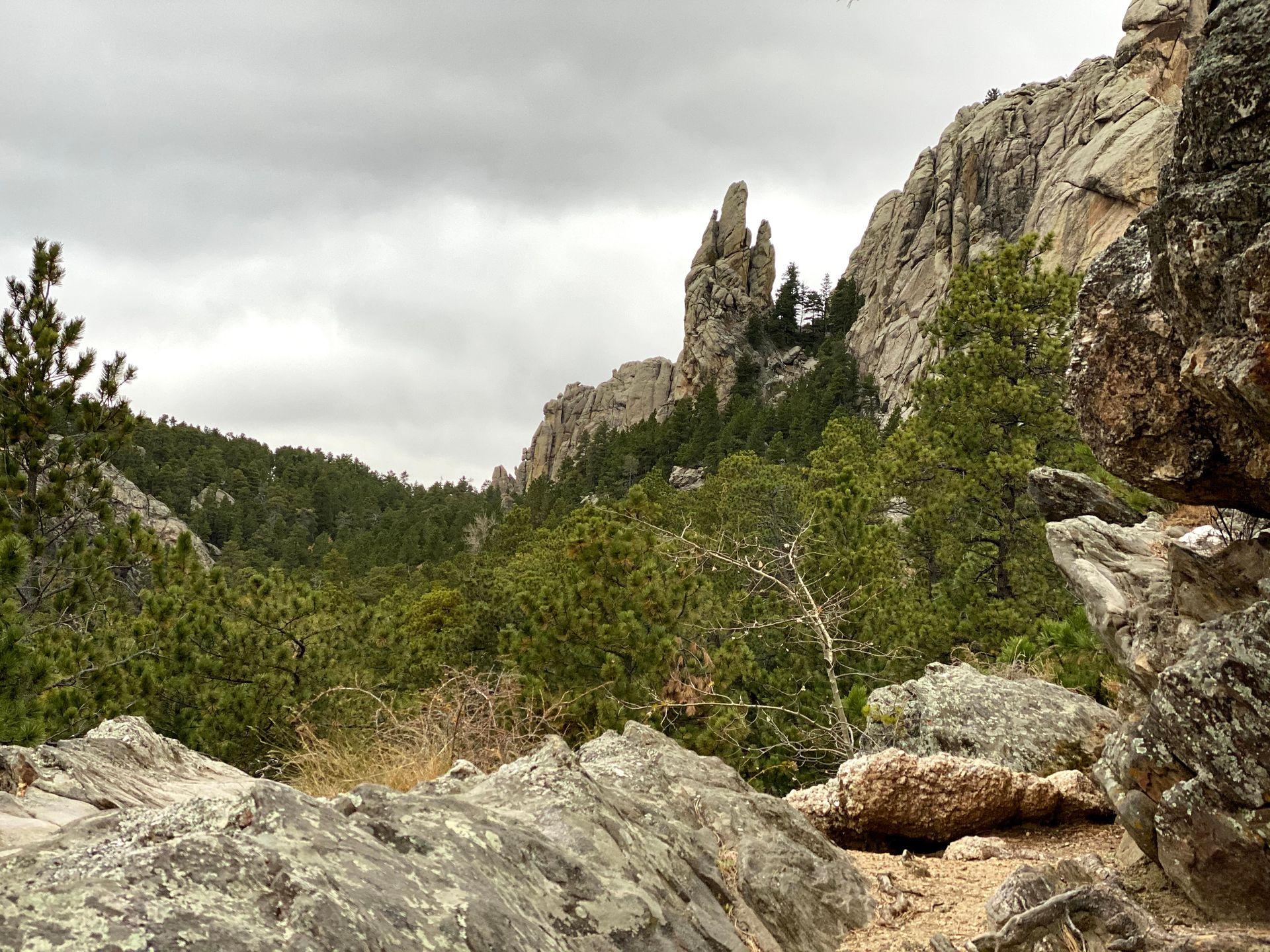 A view of rocks and trees in The Black Hills.