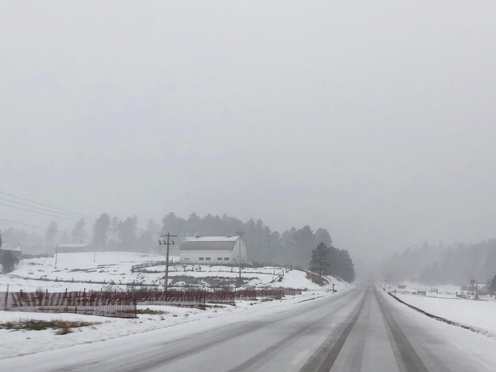 A foggy and snow covered road in the Black Hills.