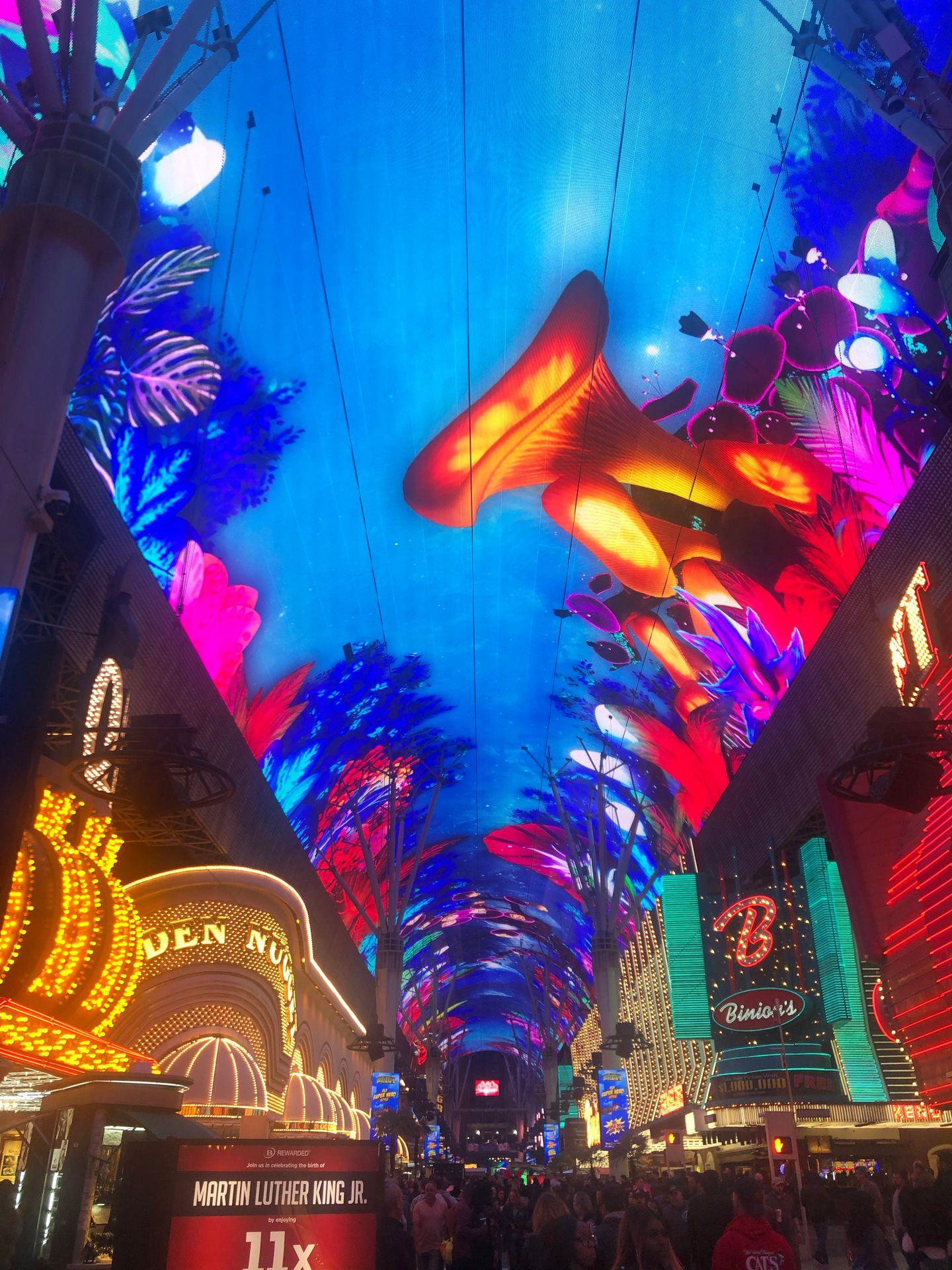 The digital roof creating a colorful scene with florals on Fremont Street.
