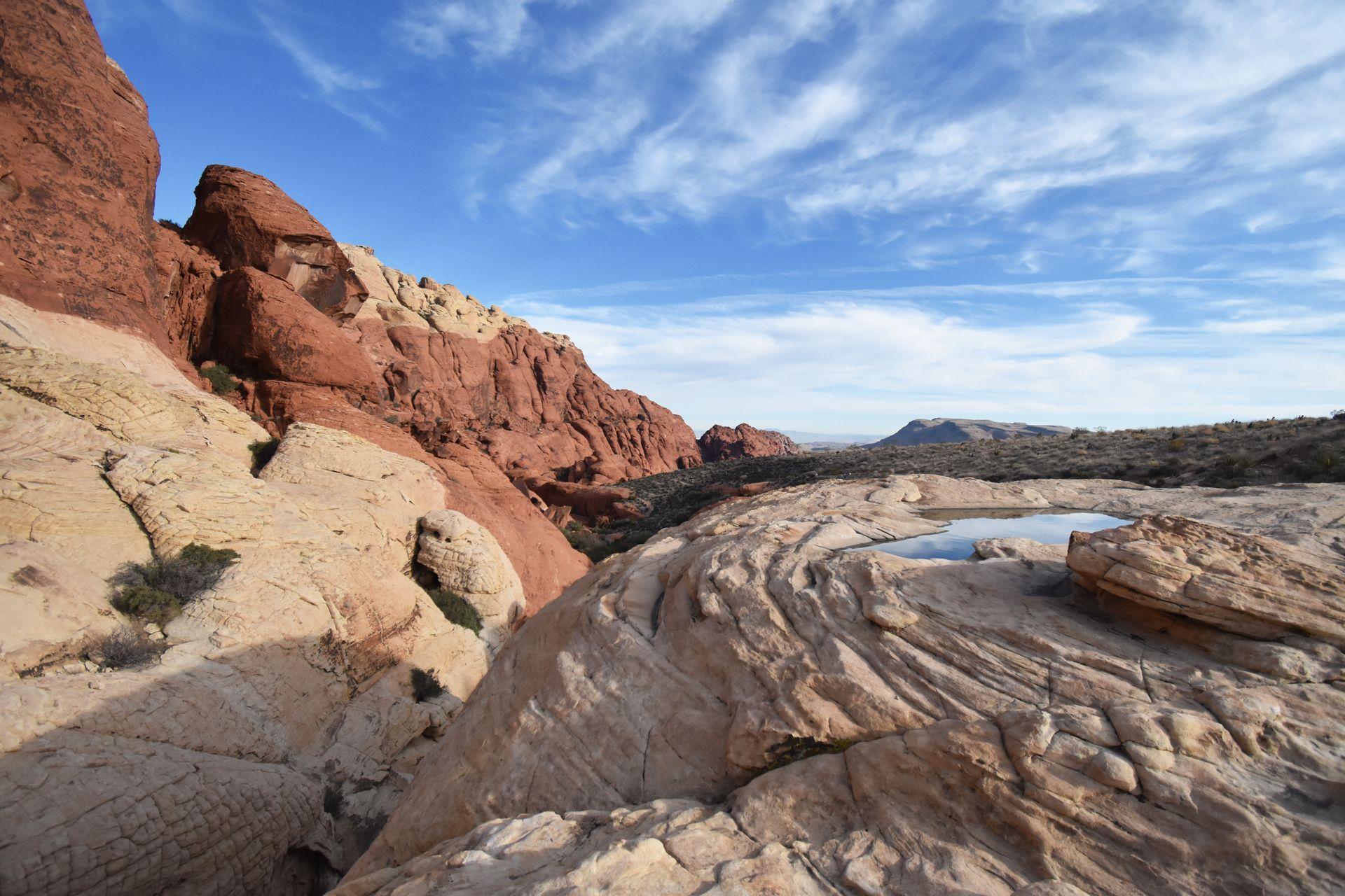 Orange rocks with a pool of water in the Red Rock Canyon Conservation Area.