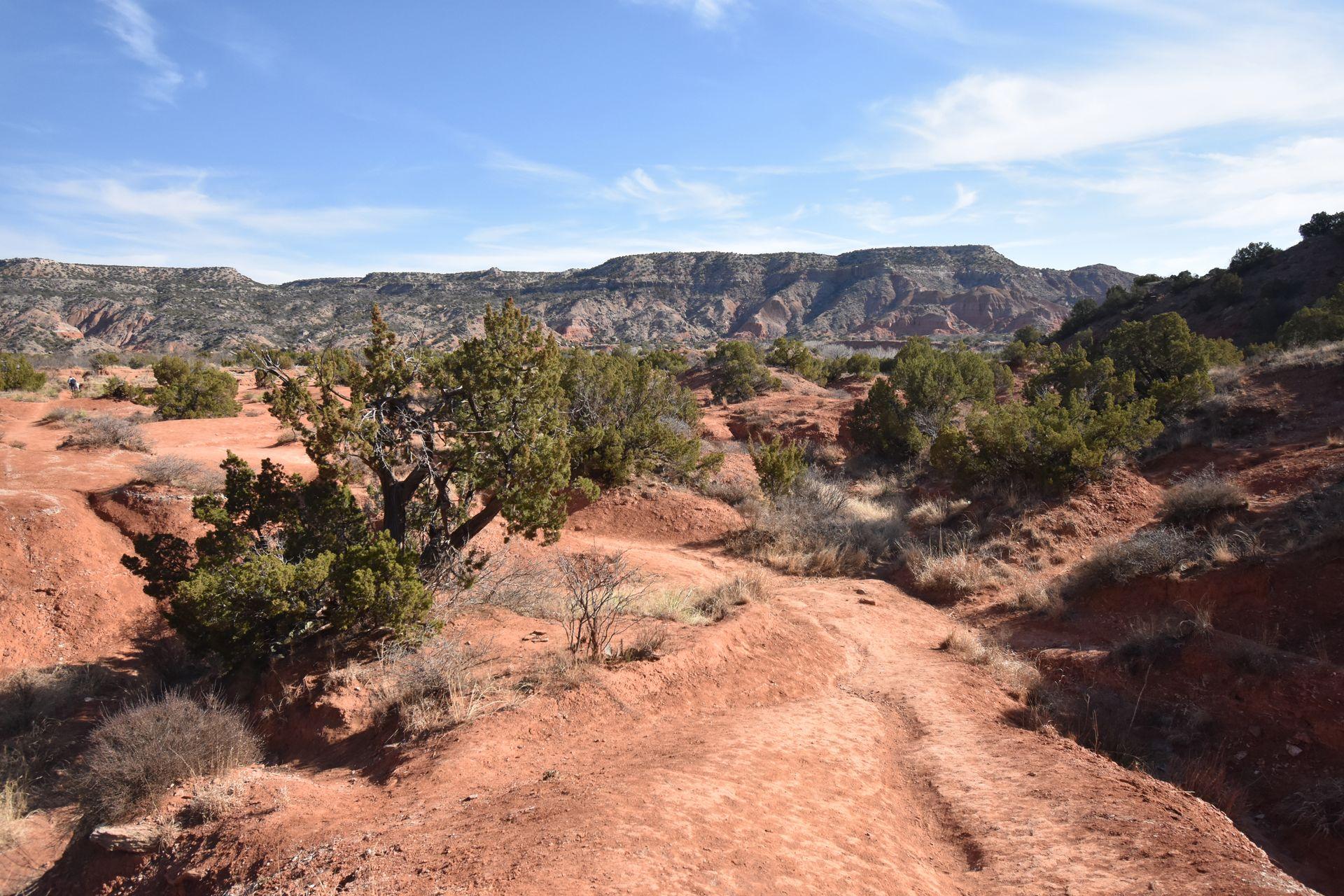 A sandy orange ground with canyon walls in the distance in Palo Duro Canyon State Park